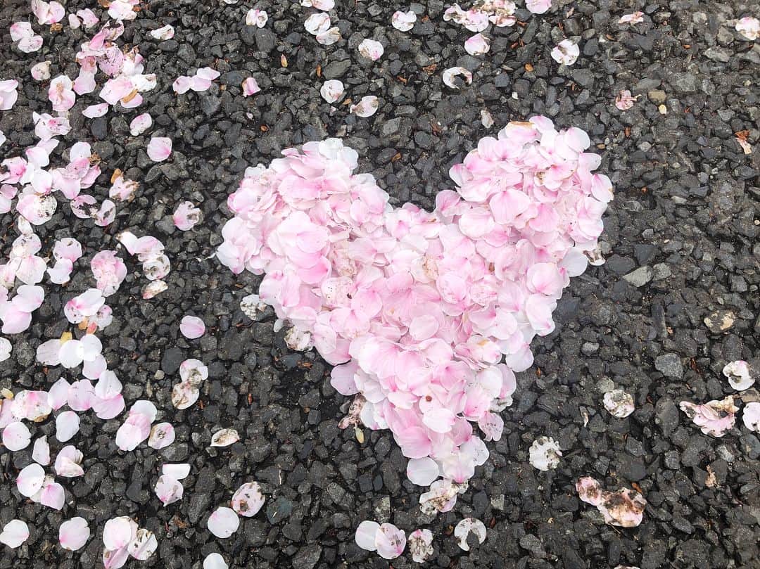 多胡安那さんのインスタグラム写真 - (多胡安那Instagram)「花びらハート作りました。 桜はピークを過ぎると寂しくなりますが、葉桜になったらこんな楽しみ方があります。 #気象予報士#tbsnews#桜シーズン#花びらアート#花びらハート#皆さんに愛を込めて」4月8日 16時02分 - tagoanna