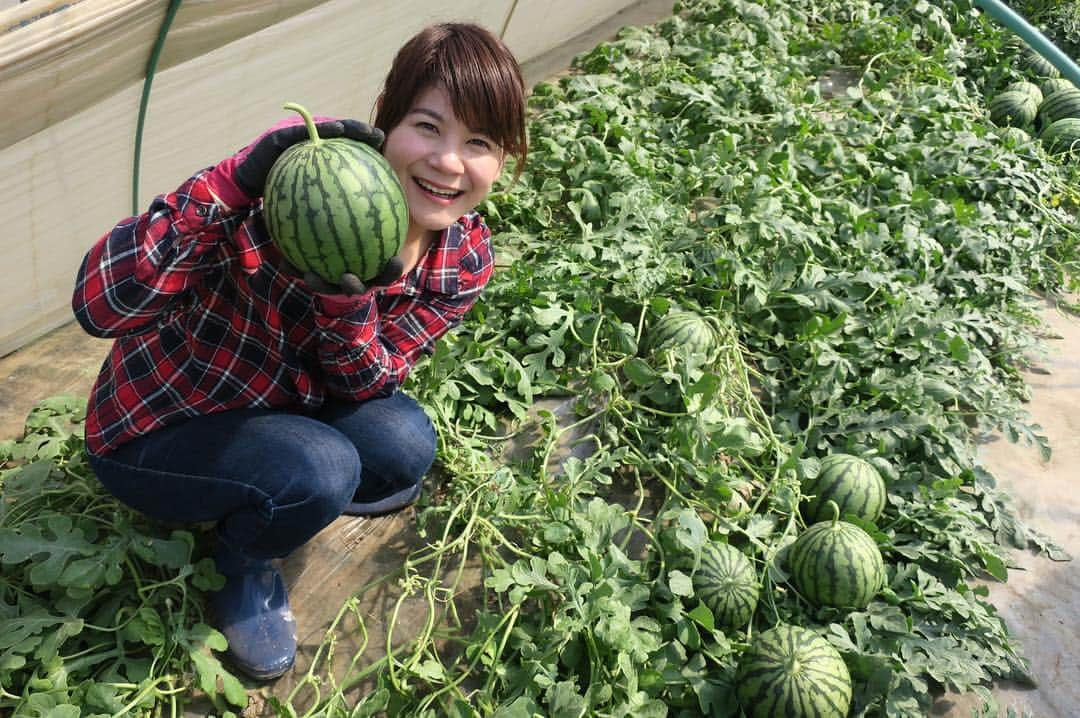 能登瑶子のインスタグラム