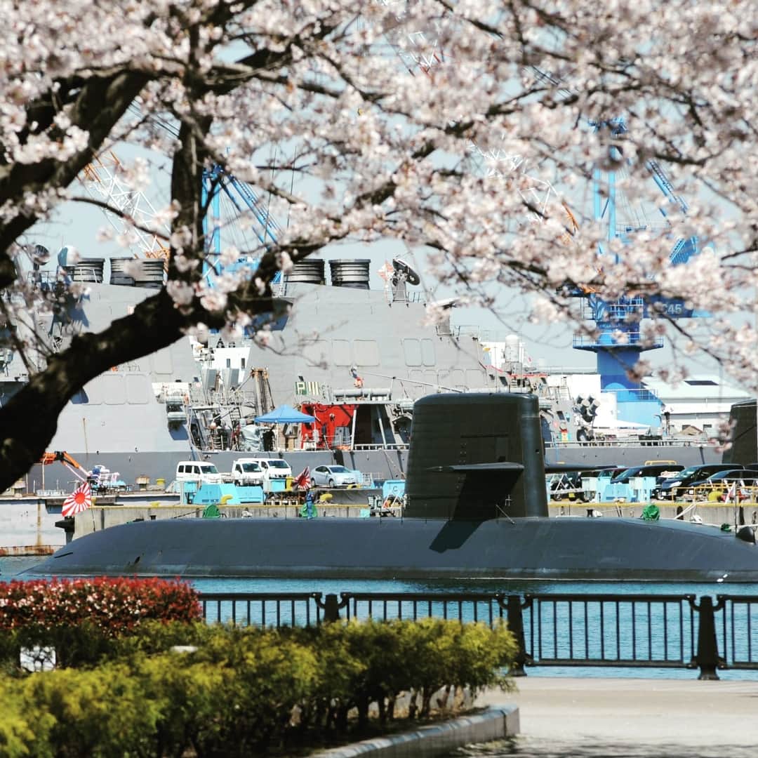 海上自衛隊さんのインスタグラム写真 - (海上自衛隊Instagram)「～桜と潜水艦～  満開の桜が咲く横須賀ヴェルニー公園から見える、潜水艦入港の様子です。 #海上自衛隊 #横須賀 #桜 #cherryblossom #submarine #Yokosuka #JMSDF」4月8日 16時44分 - jmsdf_pr