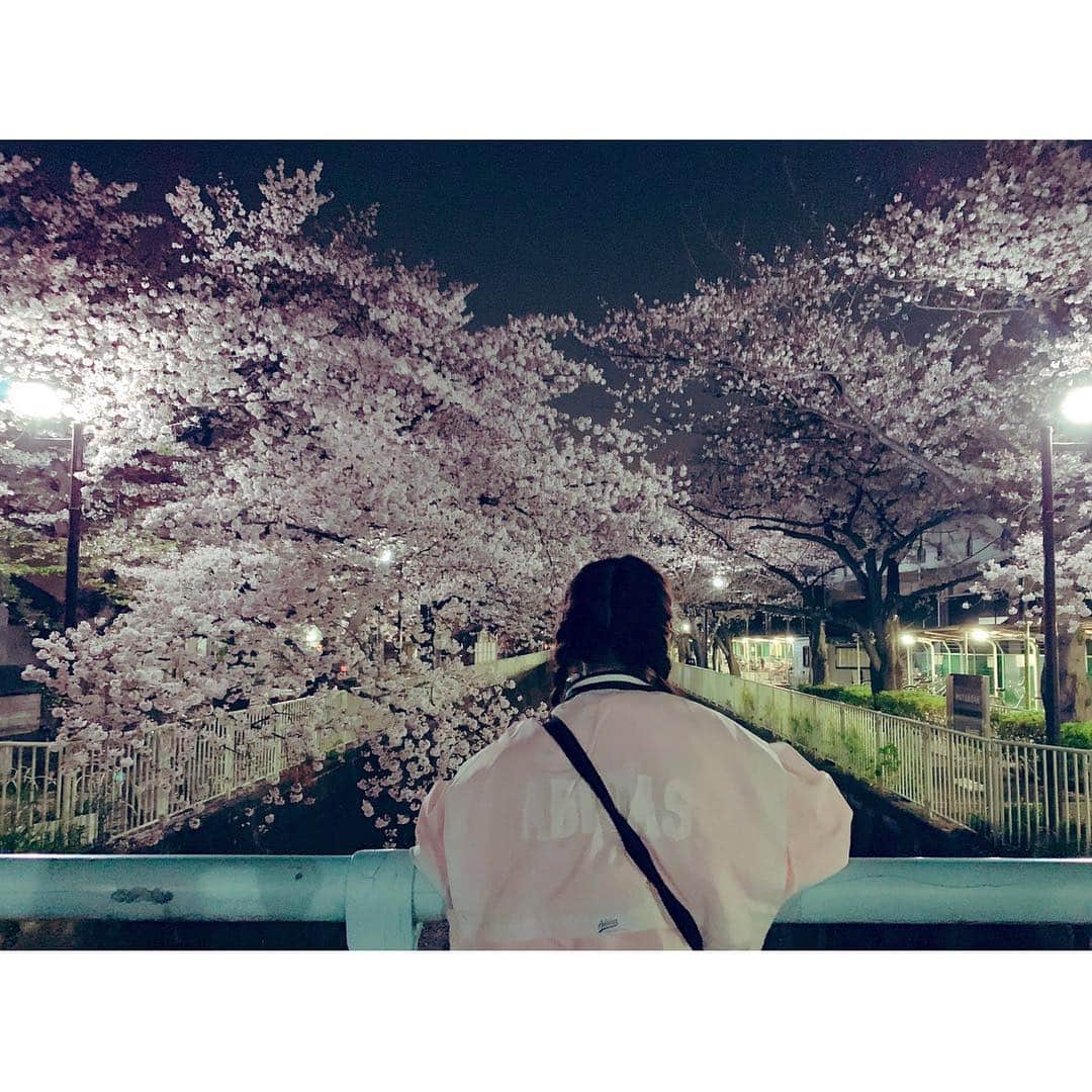 浜田翔子さんのインスタグラム写真 - (浜田翔子Instagram)「🐰🌸🌼🌸🌼🌸🐻 happy💐  #sakura」4月8日 16時39分 - shoko_hamada