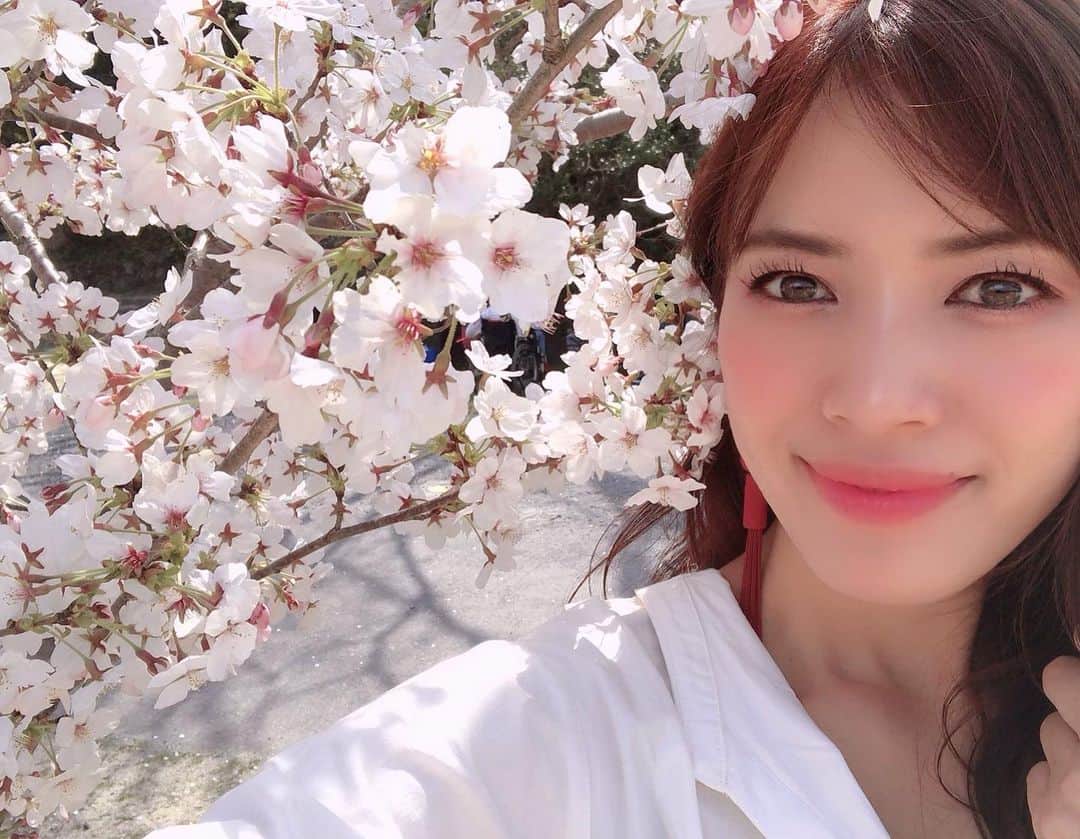 渡辺安里さんのインスタグラム写真 - (渡辺安里Instagram)「桜がとっても綺麗でした🌸 この季節は気持ちが良くて良いですね😊今しか見れないから余計見たくなる😍インスタ見るとみんなお花見行ってるね✨🌸 #桜#お花見#春#散歩#名古屋#モデル#japan#sakura#model#nagoya#hanami」4月8日 17時10分 - anriwatanabe