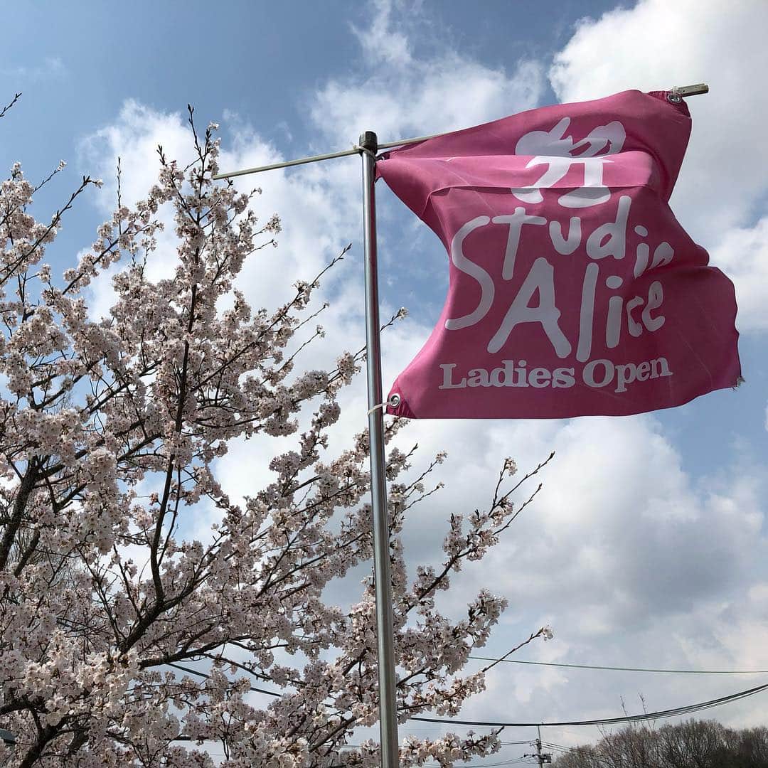 本野大輔さんのインスタグラム写真 - (本野大輔Instagram)「桜が満開🌸女子ゴルフ、スタジオアリス女子オープンが行われる花屋敷ゴルフ倶楽部よかわコースの桜です。  この大会、私は金曜から最終日まで実況を担当します。  金曜がCS日テレG+で生中継。 土曜から関西地上波。 日曜は全国ネットで放送です。  会場の桜があまりに美しく、何枚も写真を撮ってしまいました！ 最後の写真は、去年の放送席で解説の元賞金女王、村口史子プロと。 今年も村口さんと共にお伝えします！  #スタジオアリス #スタジオアリス女子オープン #ゴルフ #女子ゴルフ #桜 #満開 #読売テレビ #中継 #プロゴルファー #村口史子 プロ#本野大輔 #アナウンサー #実況 #スポーツ」4月8日 17時11分 - daisuke.motono_ytv