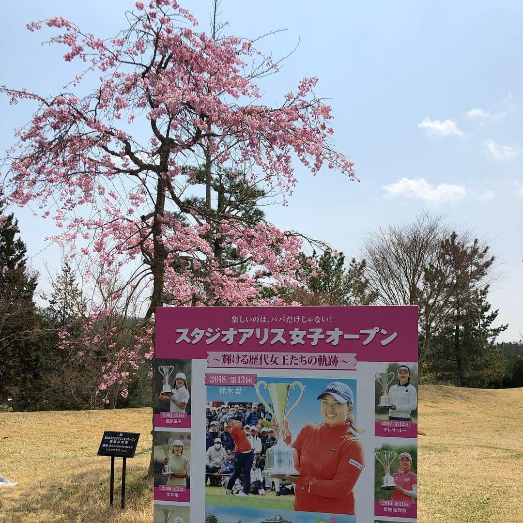 本野大輔さんのインスタグラム写真 - (本野大輔Instagram)「桜が満開🌸女子ゴルフ、スタジオアリス女子オープンが行われる花屋敷ゴルフ倶楽部よかわコースの桜です。  この大会、私は金曜から最終日まで実況を担当します。  金曜がCS日テレG+で生中継。 土曜から関西地上波。 日曜は全国ネットで放送です。  会場の桜があまりに美しく、何枚も写真を撮ってしまいました！ 最後の写真は、去年の放送席で解説の元賞金女王、村口史子プロと。 今年も村口さんと共にお伝えします！  #スタジオアリス #スタジオアリス女子オープン #ゴルフ #女子ゴルフ #桜 #満開 #読売テレビ #中継 #プロゴルファー #村口史子 プロ#本野大輔 #アナウンサー #実況 #スポーツ」4月8日 17時11分 - daisuke.motono_ytv