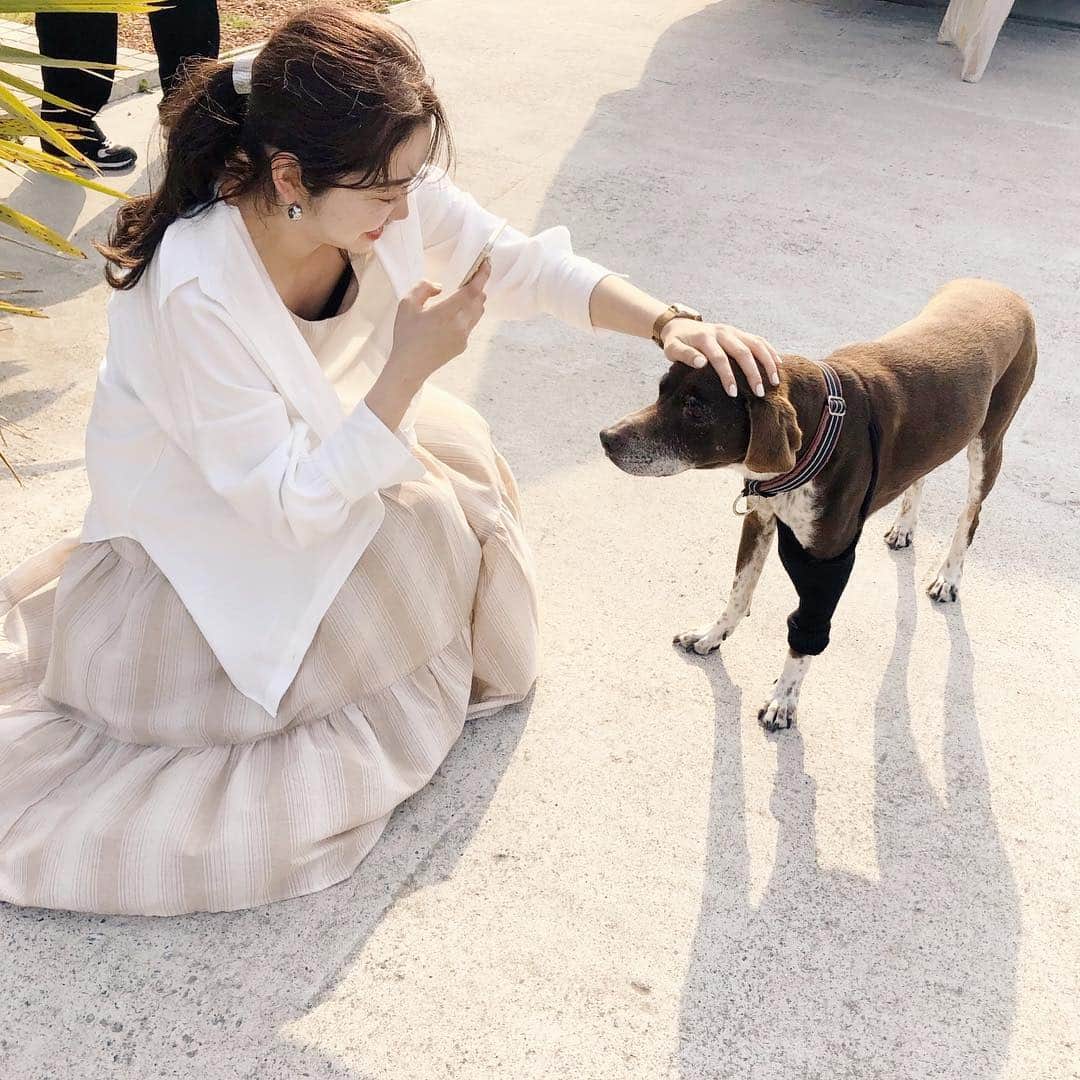 mina hinokuchiのインスタグラム：「. 昨日のスタジオにいたワンちゃん🐶 凄いお利口で、撫でるとお腹みせてくれる♡可愛かったーっ♡♡ 犬はやっぱり癒される🌿🌿 昨日の撮影もとっても素敵な写真が沢山でした☀︎ 公開が楽しみです！朝早くからお疲れ様でした！ . 私が着てるワンピースももうすぐ🌿 #whoswhochico #salonbychico #フーズフーチコ #mina_chicode #mery #rili_tokyo #sucle #isutapic #patra #petrel_jp #velle_j」