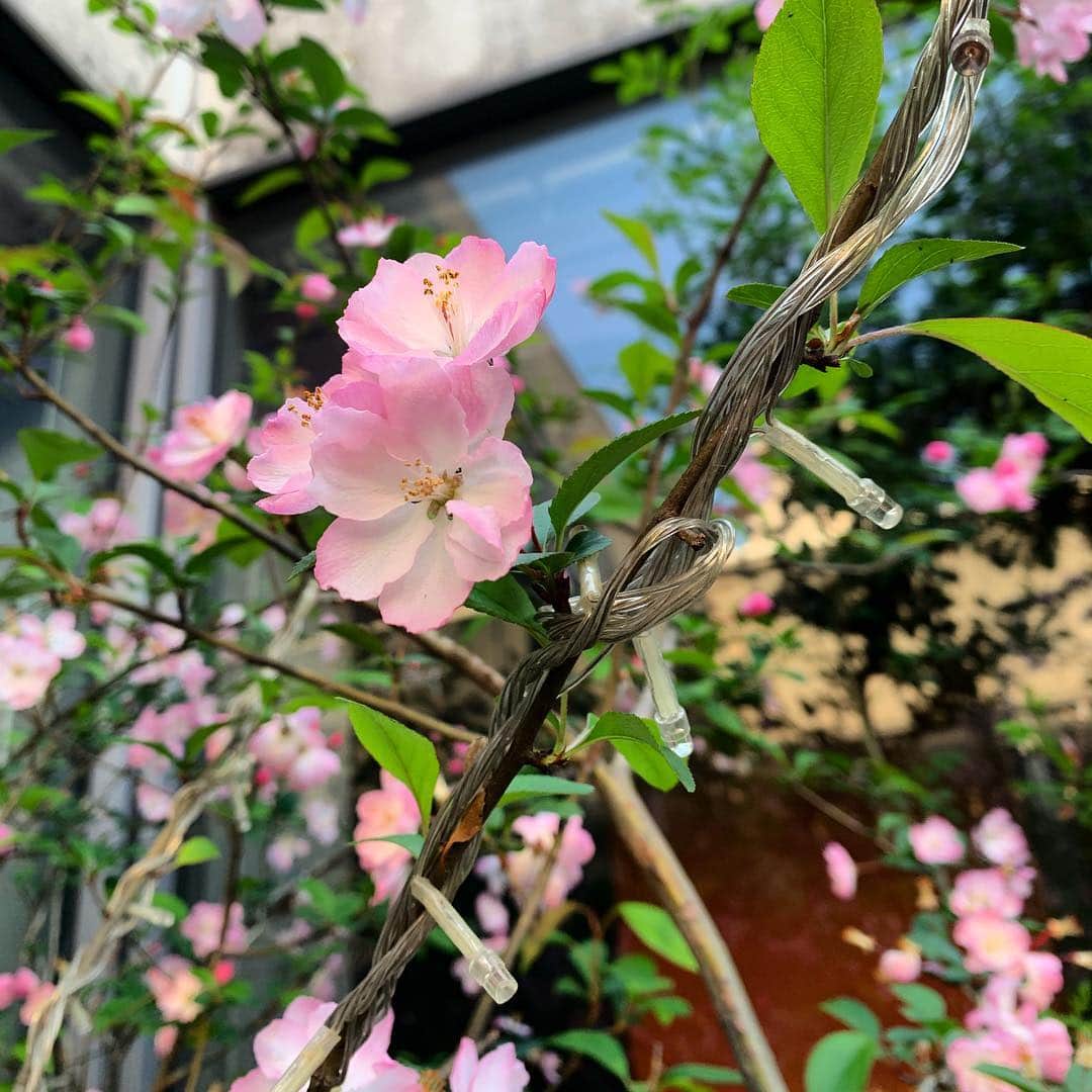 伊藤陽佑のインスタグラム：「福岡滞在もついに3週間目に突入。本日3日目。 #劇メシ」