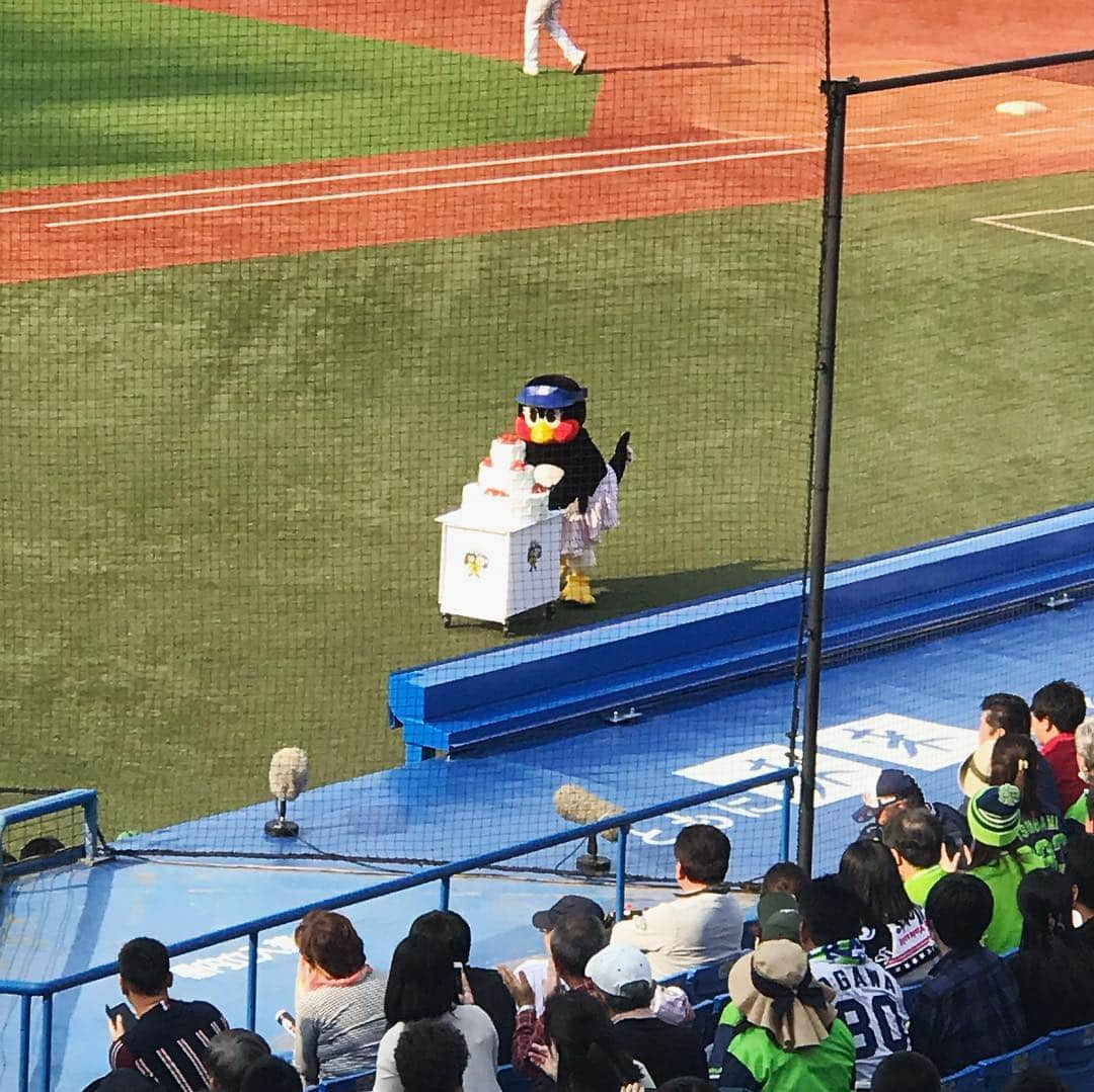 川田希さんのインスタグラム写真 - (川田希Instagram)「先日、土曜は野球観戦⚾️ 友達にチケットを頂き神宮球場へ。 ヤクルトファンの友達と一緒に応援！ 盛り上がった〜〜😊 ヤクルト青木選手のサヨナラホームランでの勝利🏆というドラマティックな試合でした。 私は特にどこのチームのファンでも無いのですが、スポーツ観戦楽しい‼️ ⚾️⚾️⚾️ . . . #野球 #野球観戦 #神宮球場 #ヤクルトスワローズ #中日ドラゴンズ #ビール #つば九郎 #つばみ」4月8日 17時32分 - nozomikawata