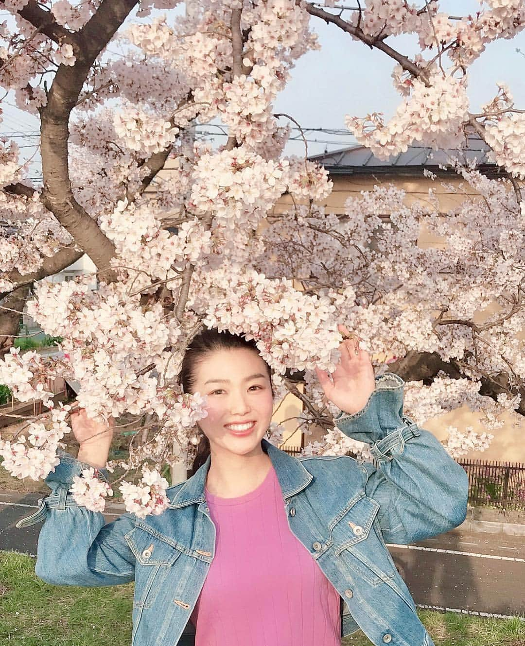 田中沙百合のインスタグラム：「🌸SAKURA🌸spring🌸💓 桜と近くて穴場スポット発見😌🌸 #桜 #桜祭 #桜満開 #桜好き #桜の花びら #春 #ピンク #春風 #穴場スポット #お花見 #秘密基地 #散歩の達人 #ミス日本酒 #田中沙百合 #タンパク質 #日本酒 #和食 #居酒屋 #焼肉 #sunny #cherryblossom #tokyo #swag #naturephotography #gym #fitness #fashionista #protein #life #likeforlikes」