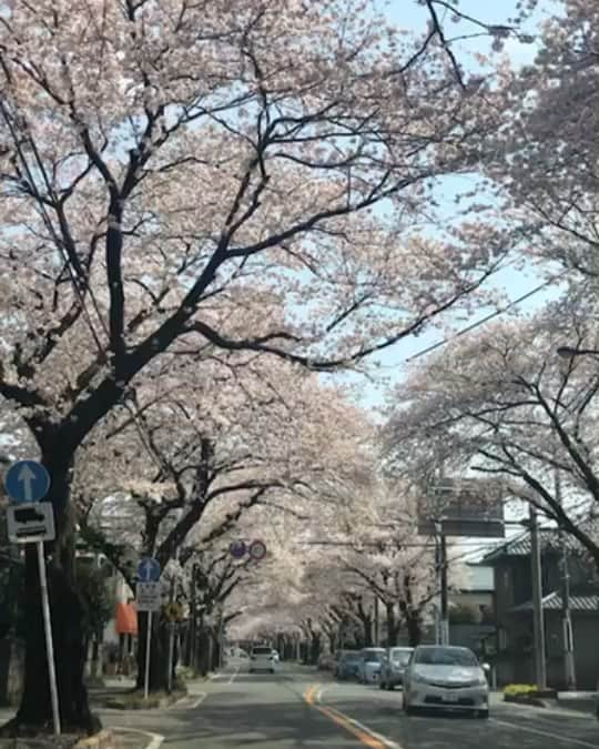 Japan Food Townのインスタグラム