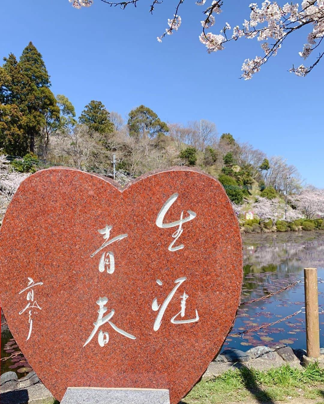 鷹野日南さんのインスタグラム写真 - (鷹野日南Instagram)「お花見🌸 . . この間久しぶりに実家に帰ったら、 家族全員集合しててお花見に…！！ . . 突然帰ったのにタイミングが合って本当に良かった😌 . . . 綺麗な桜を見れて心も身体もリフレッシュできました…幸せ . . . #お花見 #桜 #お花見コーデ 🌸」4月8日 17時41分 - hinachan.3