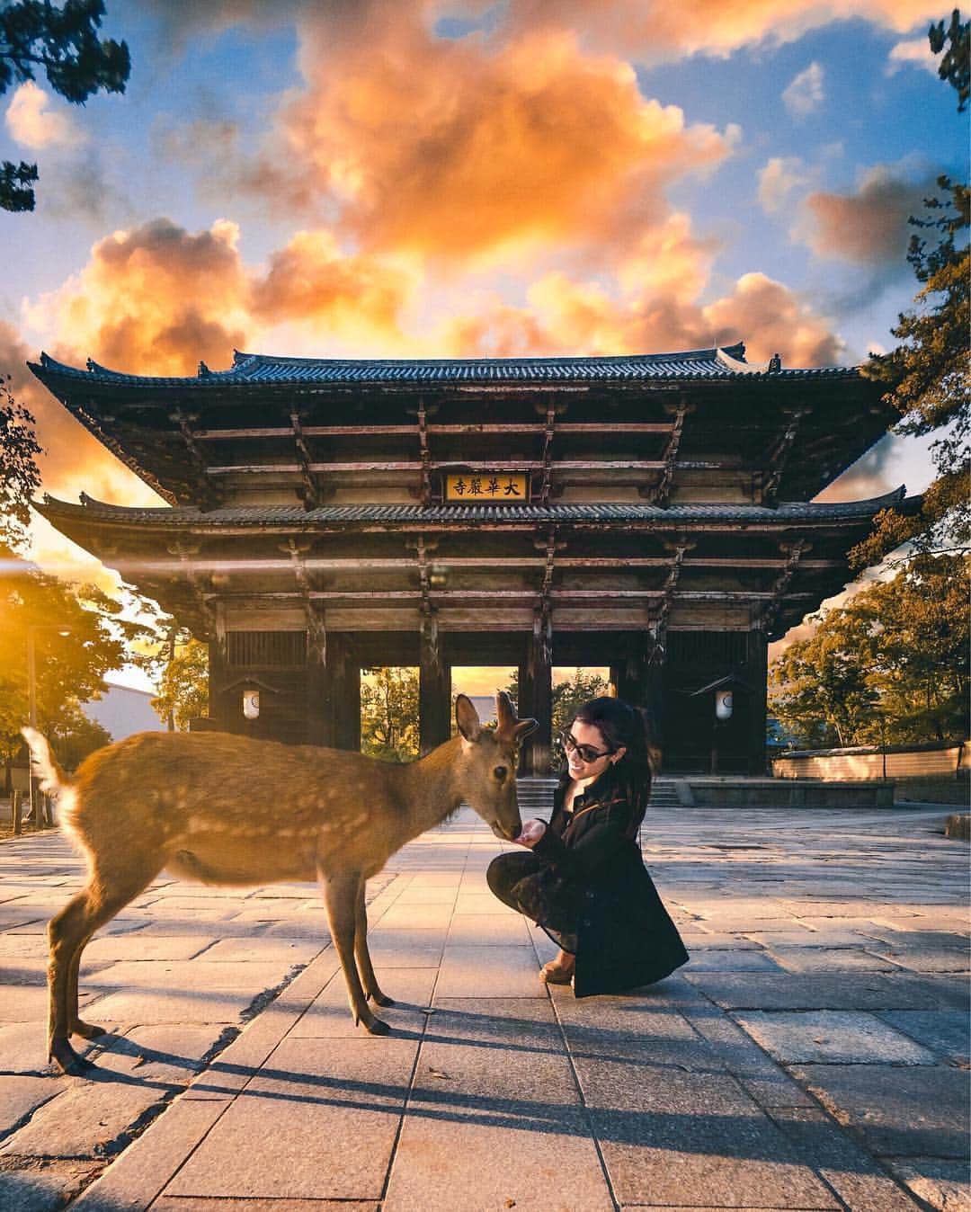 JALさんのインスタグラム写真 - (JALInstagram)「⠀ A chance encounter with a deer at Todai-ji, Nara Prefecture. #JAL #MyAprilAdventure ⠀ ⠀ 奈良県・東大寺で鹿と遭遇👀 . . photo by @melissa @aleporte Post your memories with #FlyJAL ⠀ ⠀ #JapanAirlines #japan #nara #deer #wildlifeplanet #newexperience」4月8日 17時41分 - japanairlines_jal