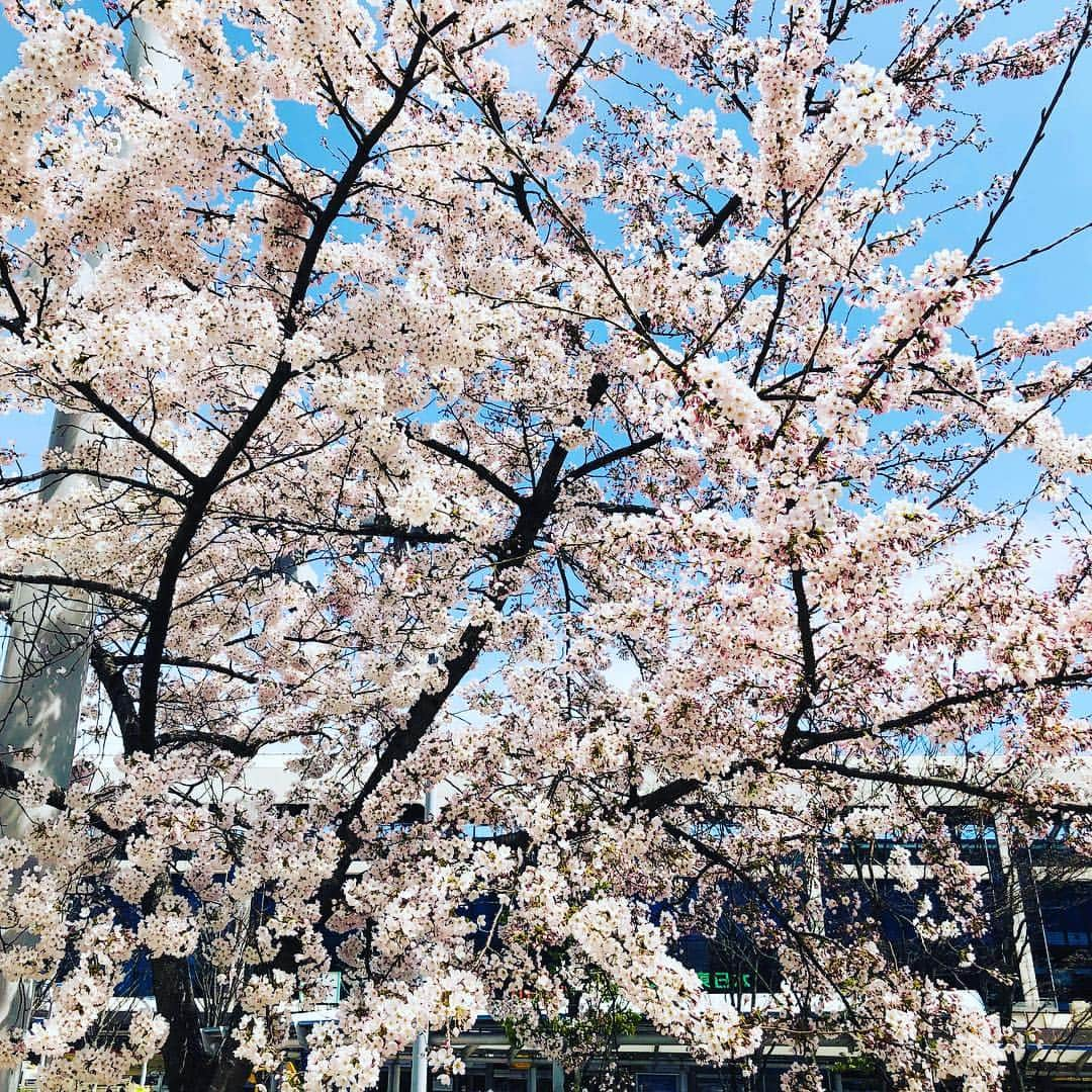 逸見太郎のインスタグラム