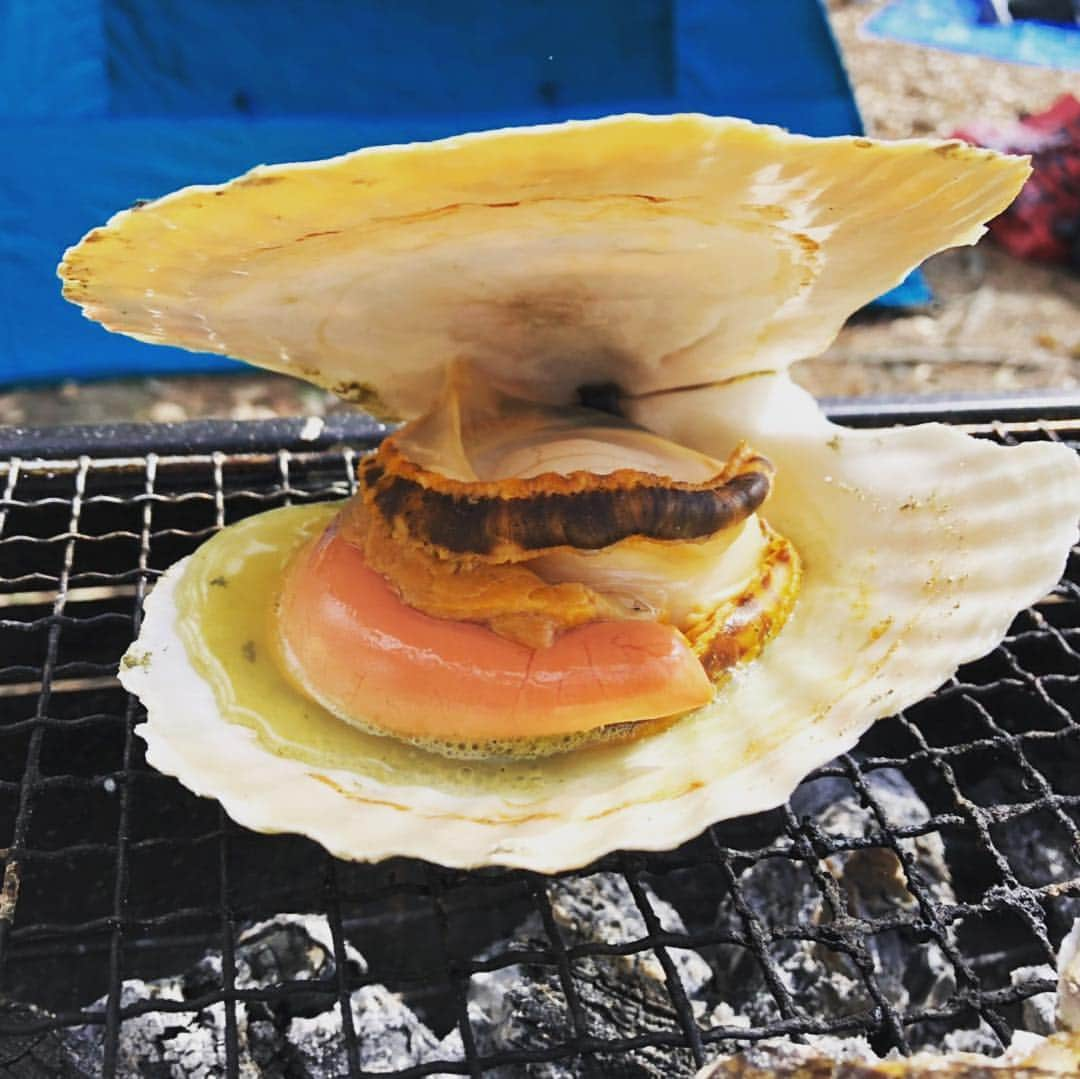 立田恭三さんのインスタグラム写真 - (立田恭三Instagram)「バーベキュー！ お肉のあとは、この日は海鮮！ ホタテも牡蠣も、ハマグリも美味しかった... これから毎週やっていこう！  #バーベキュー男子  #海鮮bbq  #炭おこしありがとう  #火から離れない男子  #ホタテバター  #バター抜き  #それホタテやん  #牡蠣は飲み物  #牡蠣は0キロカロリーだから #いや  #そんなことない」4月8日 18時04分 - tatsuta.ytv