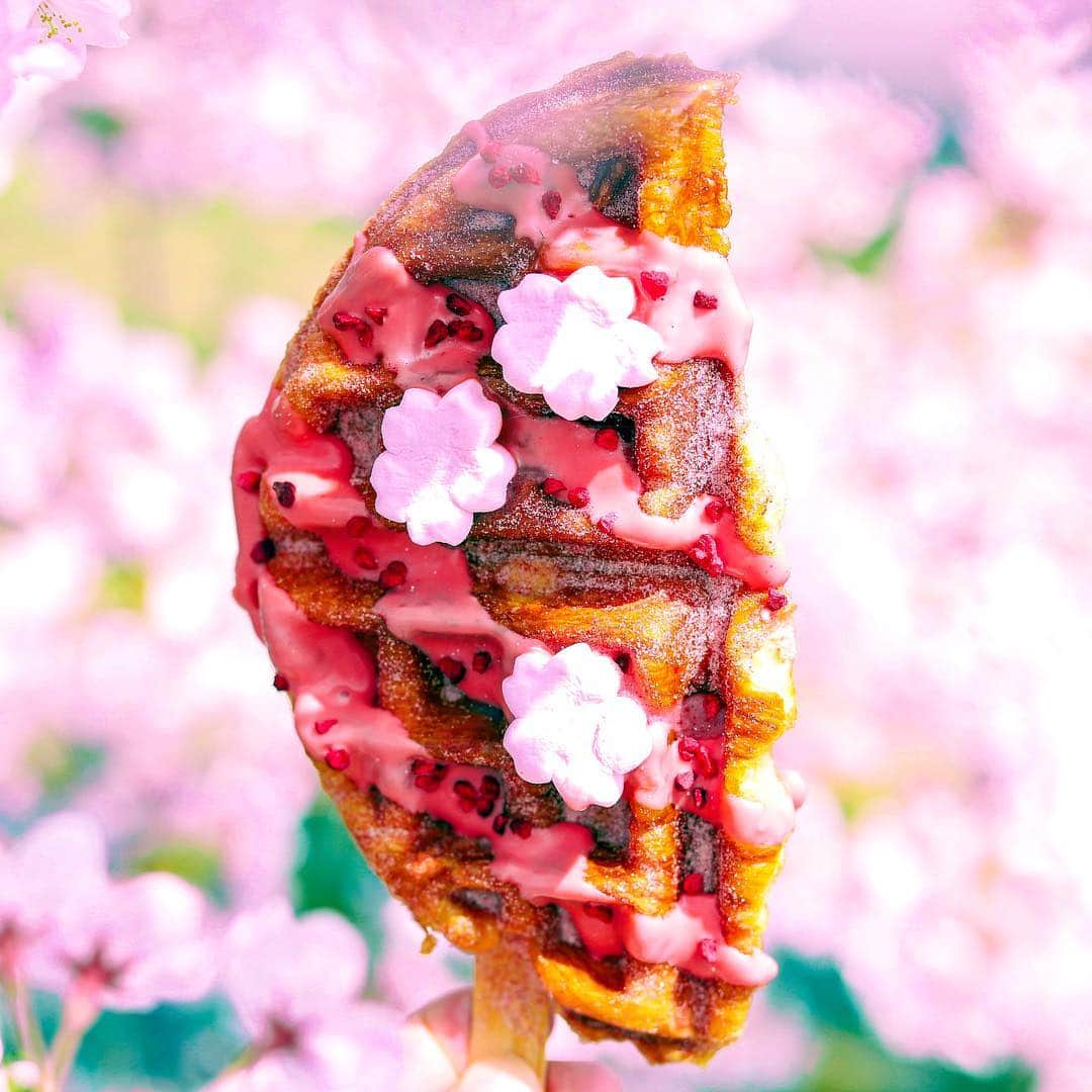 きょん。さんのインスタグラム写真 - (きょん。Instagram)「. .  Wafla  ぎゅっと 握った春色おやつ。  ワッフルを 包む桜綺麗に 瞬いた。  #sweets#wafla#sakura」4月8日 18時07分 - kyon_tokiiro