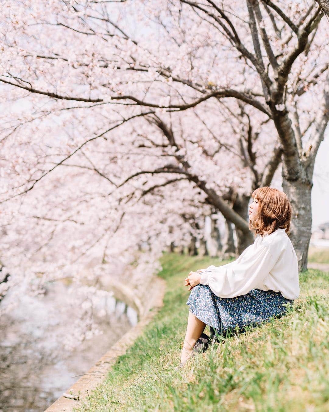 fuka_09さんのインスタグラム写真 - (fuka_09Instagram)「﻿ Spring in full bloom﻿ ﻿ #桜 #さくら #🌸 #WHPfavoritecolor」4月8日 18時31分 - fuka_09