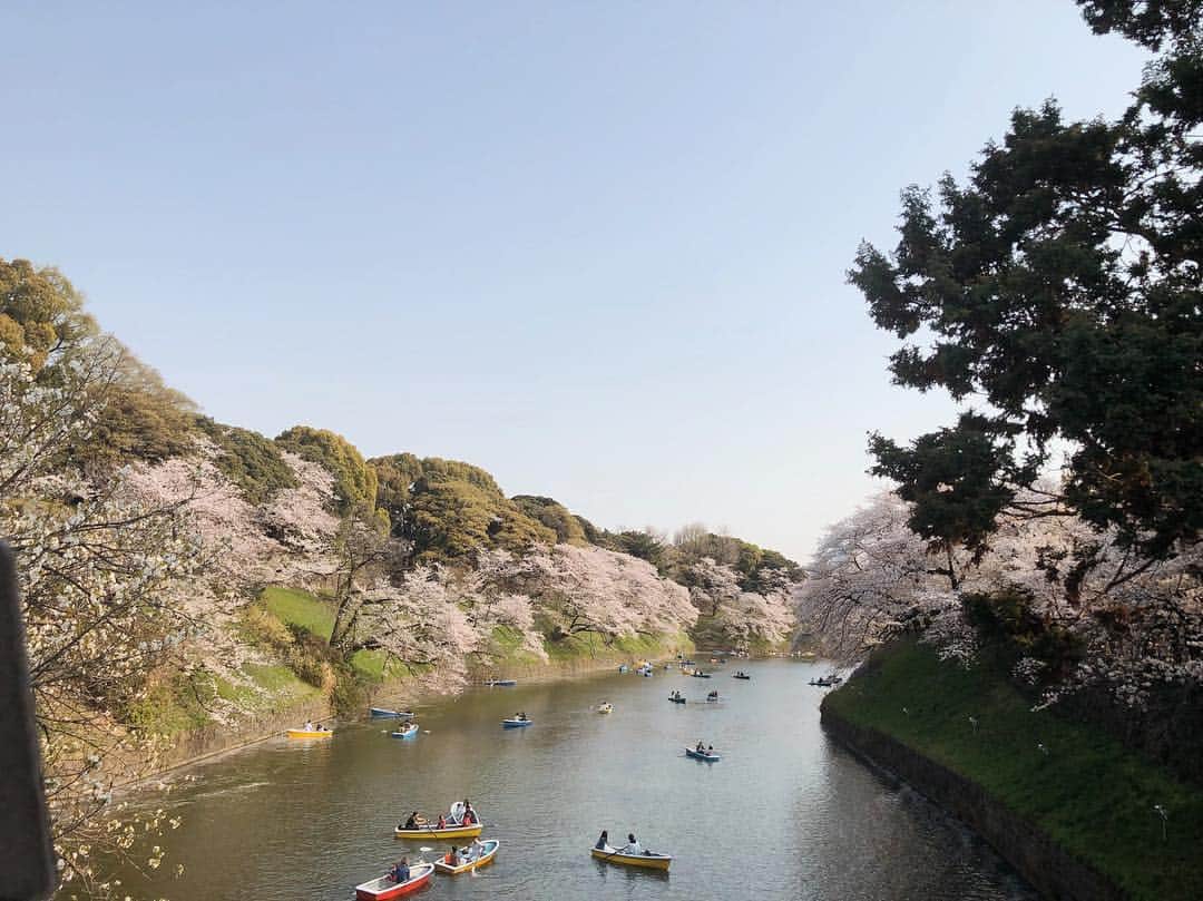 柏山奈々美さんのインスタグラム写真 - (柏山奈々美Instagram)「葉桜も綺麗よね。 今日は天気が悪かった。。😭 #桜 #お花見 #sakura #🌸 #千鳥ヶ淵」4月8日 18時44分 - nanamikashiyama