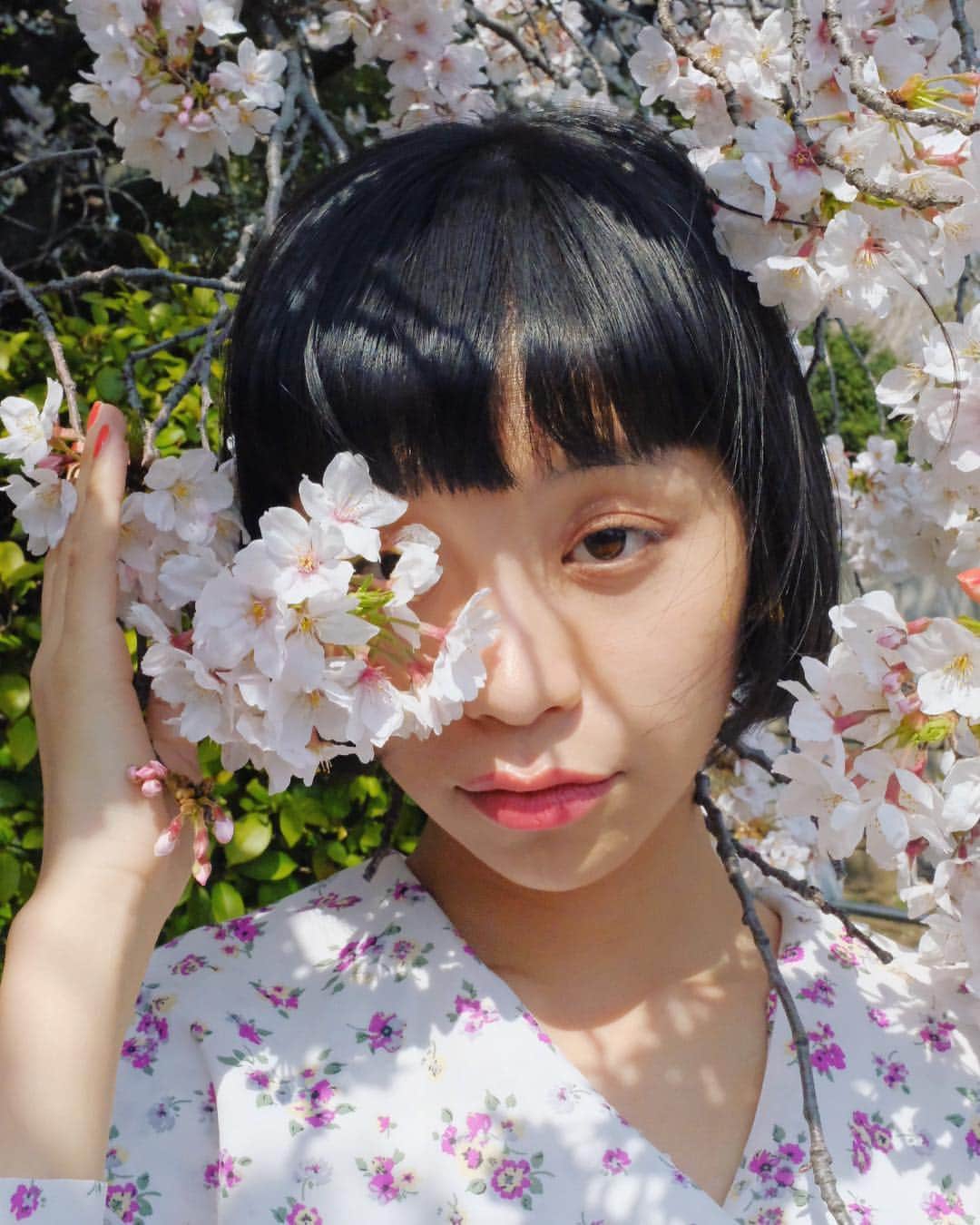 る鹿さんのインスタグラム写真 - (る鹿Instagram)「桜 of ２０１９🌸 今年も綺麗だった桜 #平成最後の桜」4月8日 18時36分 - luluxinggg