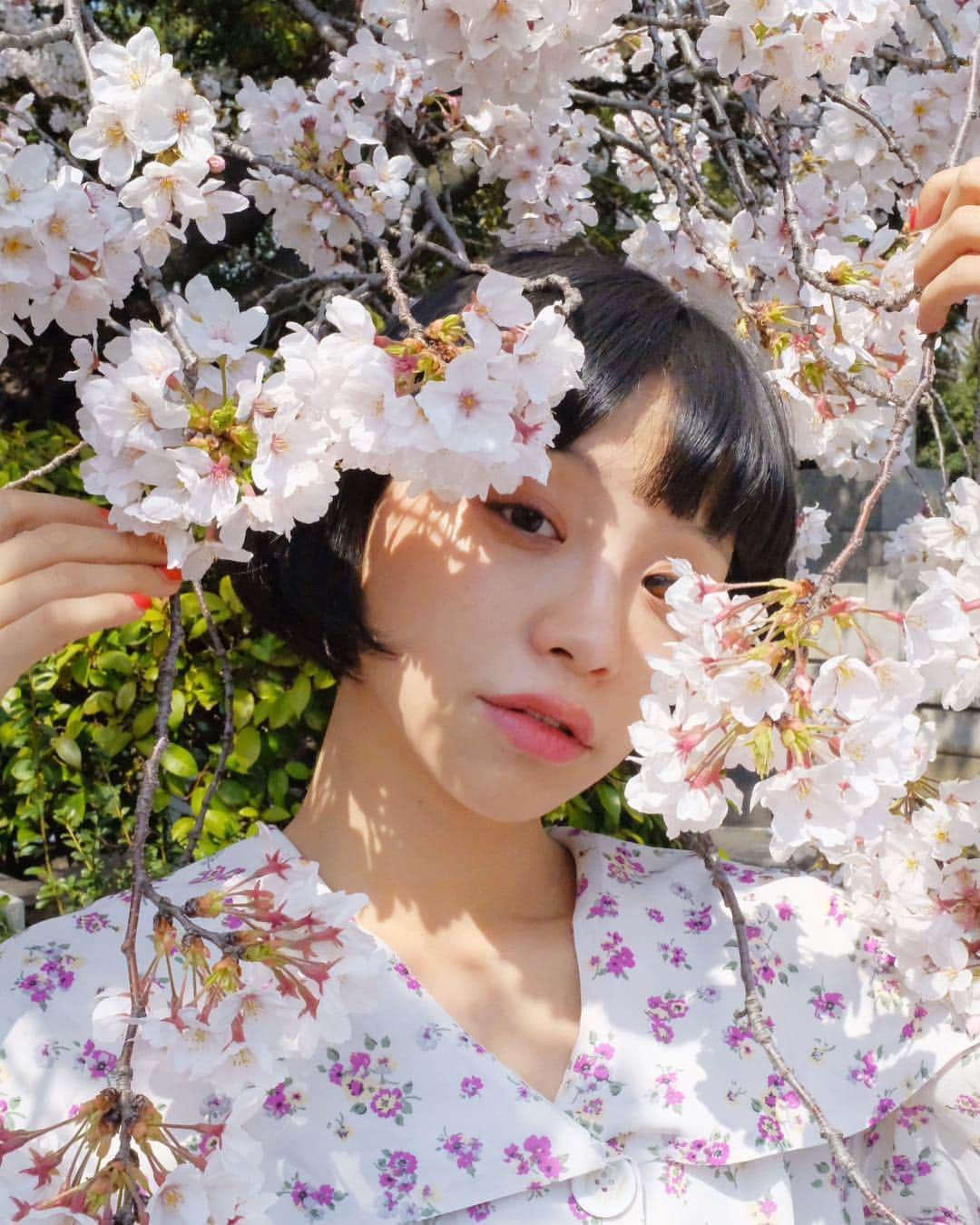る鹿さんのインスタグラム写真 - (る鹿Instagram)「桜 of ２０１９🌸 今年も綺麗だった桜 #平成最後の桜」4月8日 18時36分 - luluxinggg
