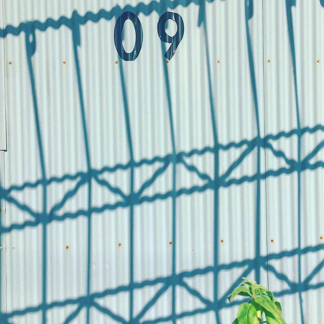 まめのインスタグラム：「No.9 . . 明日は9日。 . #ザ壁部 #トタニズム #あみモノ部 #壁と植物 #ihaveathingforwalls #walls_talking #ihaveathingforshadows . #mwjp #igersjp #instagramjapan #indies_minimal #hueart_life #reco_ig #shotoniphone」