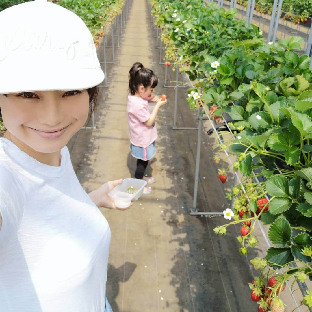 蛯原英里さんのインスタグラム写真 - (蛯原英里Instagram)「昨日は、良いお天気で苺狩り～近くの公園へ♪ かむちゃんは、寝てくれていたのでたくさん美味しい苺を食べれました～！ありがとね✨ お姉ちゃんは美味しい苺の香りをかむちゃんにも嗅いでもらいたかったみたい🤣 香りだけでも苺狩りの気分を味わえて良かったね✨ 今年最後の苺狩りかな😊  #苺 #苺狩り #大好き #美味しかった #今年最後 #来年 #また行きたい #楽しかった #ありがとう」4月8日 18時53分 - eriebihara