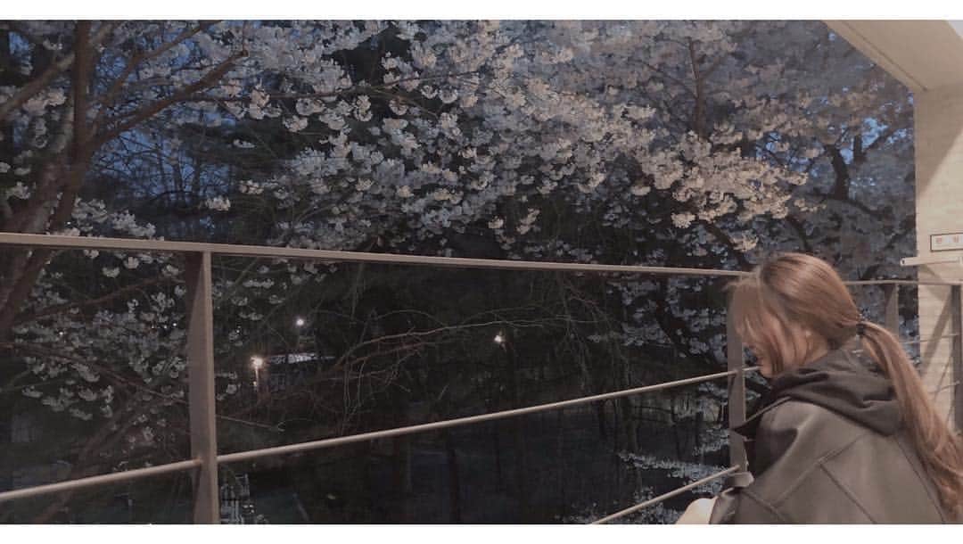 Mnetさんのインスタグラム写真 - (MnetInstagram)「⠀⠀⠀ 날씨도 좋고 꽃도 많이 보여요 그래서 보고 싶다아-! ⠀⠀⠀ #지선 #🥰 #🌸」4月8日 18時47分 - officialfromis_9