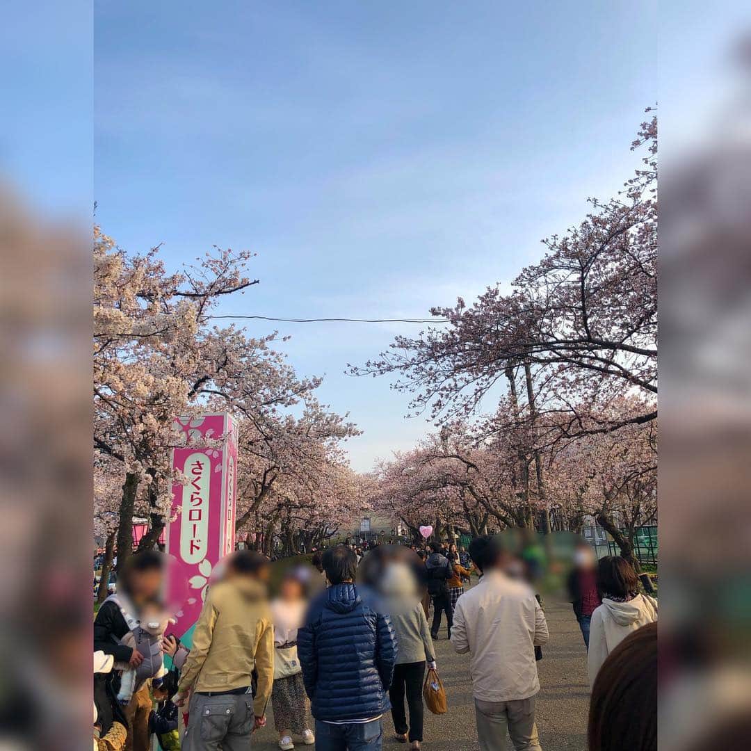 高井瑛子さんのインスタグラム写真 - (高井瑛子Instagram)「. . 🌸🌸🌸🌸🌸🌸 . 先日、上越市の高田公園のサクラを見てきました。 . 「日本三大夜桜」の一つとしても有名な高田公園。 . ピンク色の可愛らしいサクラが キレイに咲いていました🌸✨ . ずっと愛でていたい…🥺❤️ . . 🌸🌸🌸🌸🌸🌸 . . ----------------------------------- #新潟テレビ21#アナウンサー#花見#高田公園#満開#桜#上越市#春#写真下手」4月8日 18時48分 - ux_takai.eiko