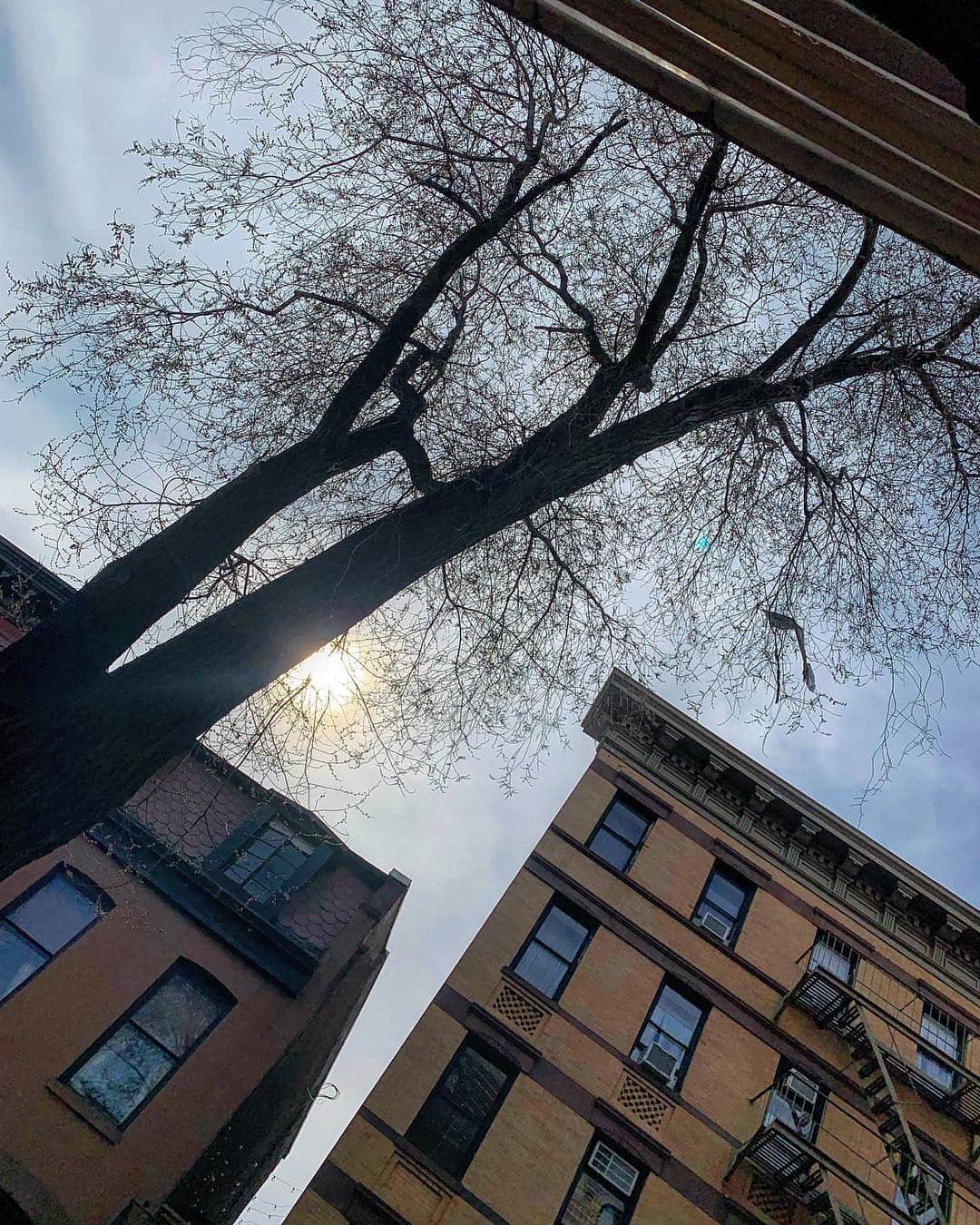 Giovanna Antonelliのインスタグラム：「Perspectiva」