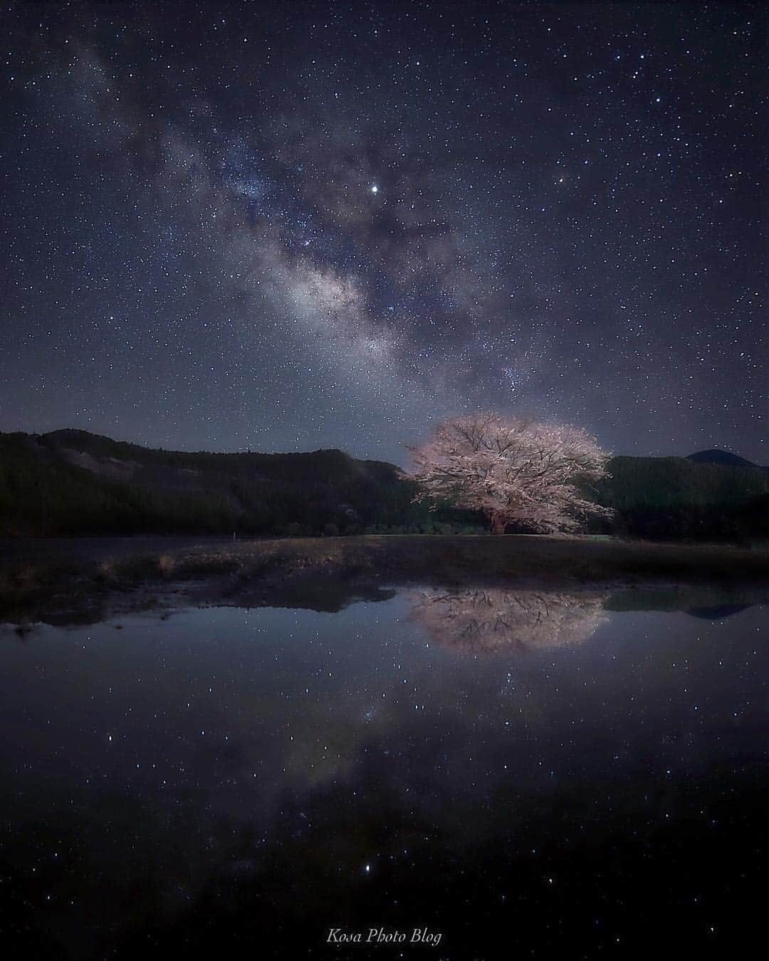 コサさんのインスタグラム写真 - (コサInstagram)「銀河に咲く桜🌸 桜+天の川+リフレクションの贅沢三種盛り😍 実は、これ水たまりなんですけどね🤣 風がなくて助かりました👍 . Location:和歌山 Wakayama/Japan Data:2019.4.2 . #star_hunter_jp #japan_night_view_member #night_captures #ADDICTED_TO_NIGHTS #super_night_channel #LBJ_桜2019 #apj_桜フェス2019 #as_桜2019 #team_jp_春色2019 #bestjapanpics_桜2019一部 #art_of_japan_ #tokyocameraclub #dpj_member #team_jp_ #IG_PHOS #photo_jpn #ptk_japan #pt_life_ #bestjapanpics #Lovers_Nippon #花びら大回転2019 #light_nikon #sorakataphoto #japan_great_view #広がり同盟メンバー#あえてシェア #ap_japan_wide #マイタムロンレンズ #桜旅のセカイ #shj過去」4月8日 19時16分 - kosa_photo