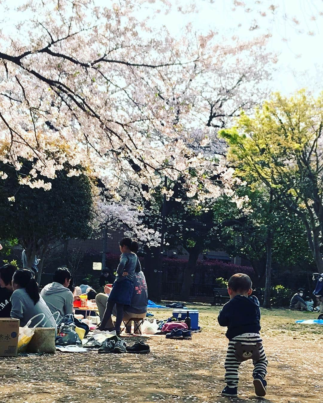 葵ゆりかさんのインスタグラム写真 - (葵ゆりかInstagram)「お花見で筋肉痛🌸笑  #cherryblossom #花見 #お花見 #🌸 #🍺 #桜 #friends #dog #👶 #🐶 #縄跳び #大縄跳び #筋肉痛 #spring #春 #tokyo #japan」4月8日 19時23分 - yuriyuricchi