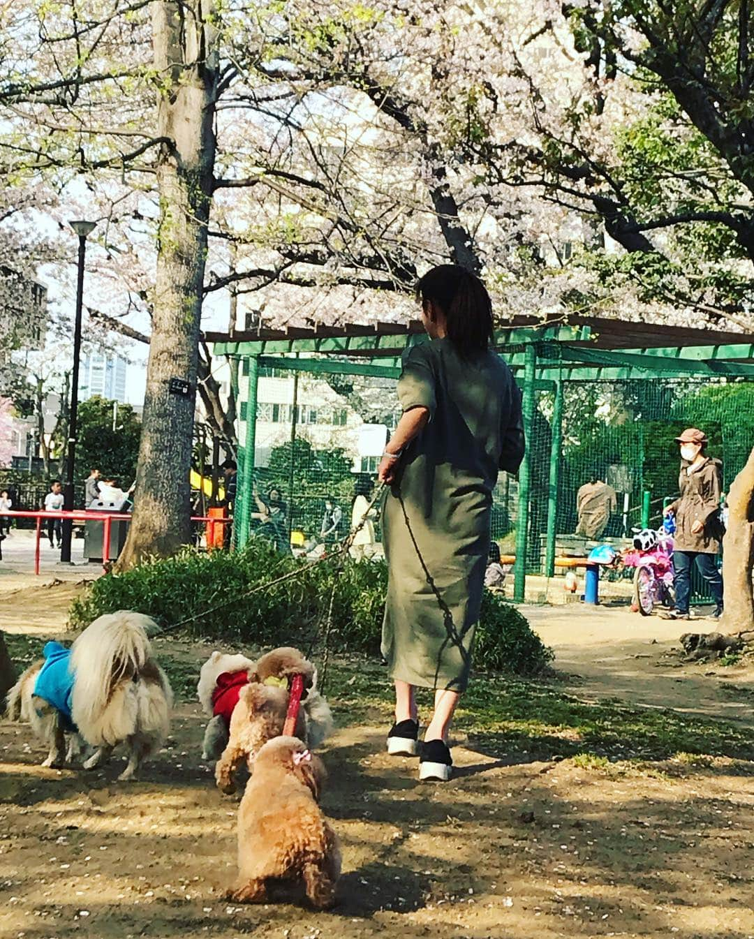 葵ゆりかさんのインスタグラム写真 - (葵ゆりかInstagram)「お花見で筋肉痛🌸笑  #cherryblossom #花見 #お花見 #🌸 #🍺 #桜 #friends #dog #👶 #🐶 #縄跳び #大縄跳び #筋肉痛 #spring #春 #tokyo #japan」4月8日 19時23分 - yuriyuricchi