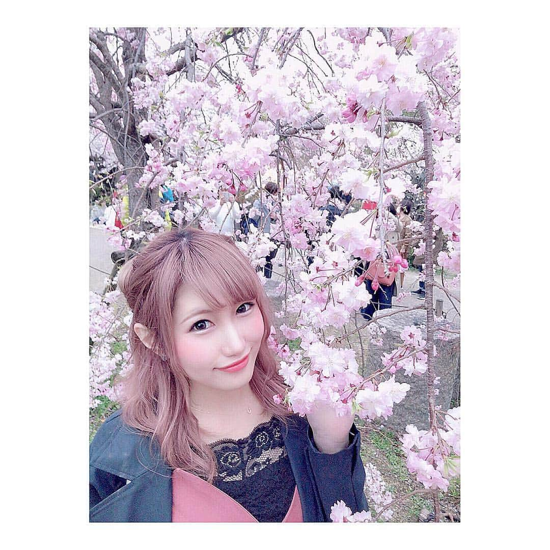 結城明日翔さんのインスタグラム写真 - (結城明日翔Instagram)「* お花見🌸 * #お花見 #花見 #桜 #🌸 #円山公園 #京都 #hanami #sakura #cherryblossom #kyoto #japan #春 #followme」4月8日 19時26分 - yuki_asuka_