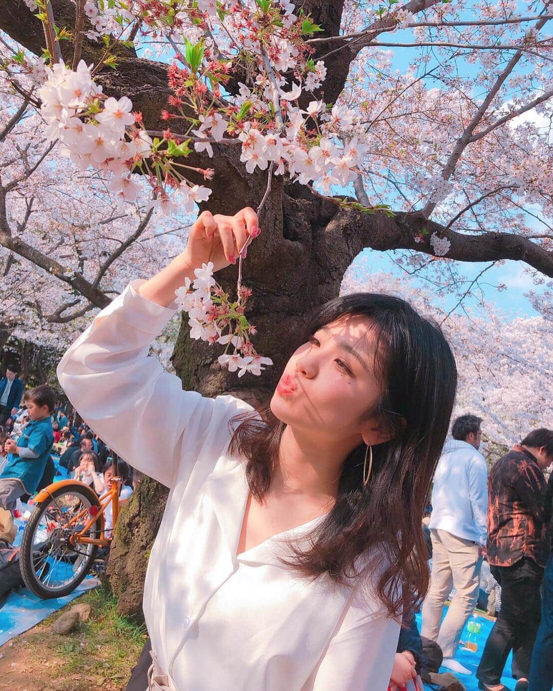 小池美由さんのインスタグラム写真 - (小池美由Instagram)「🌸桜🌸  今年1番の楽しい思い出☺️♥️ #桜 #春」4月8日 19時36分 - kkkkkoike