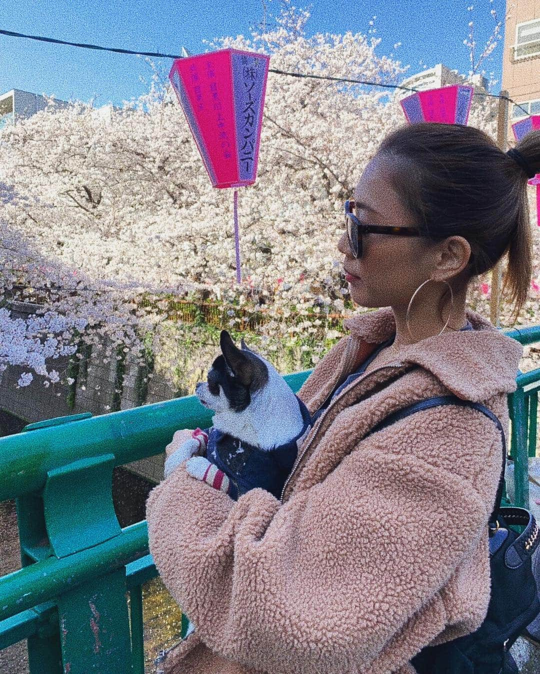 逢田ゆんさんのインスタグラム写真 - (逢田ゆんInstagram)「. 4月末から大阪帰省する❤️💜 新幹線のチケットもかえた🎫 皆あそぼーねー👍🏾 家族と友達の時間大切に使おう☺️ 大会後だから何食べようかワクワク🤩 . #このゆきち🐶可愛すぎ #一緒に桜みてる🌸 . #桜 #中目黒の桜 #お花見 #春 #お散歩」4月8日 20時01分 - yun_asada