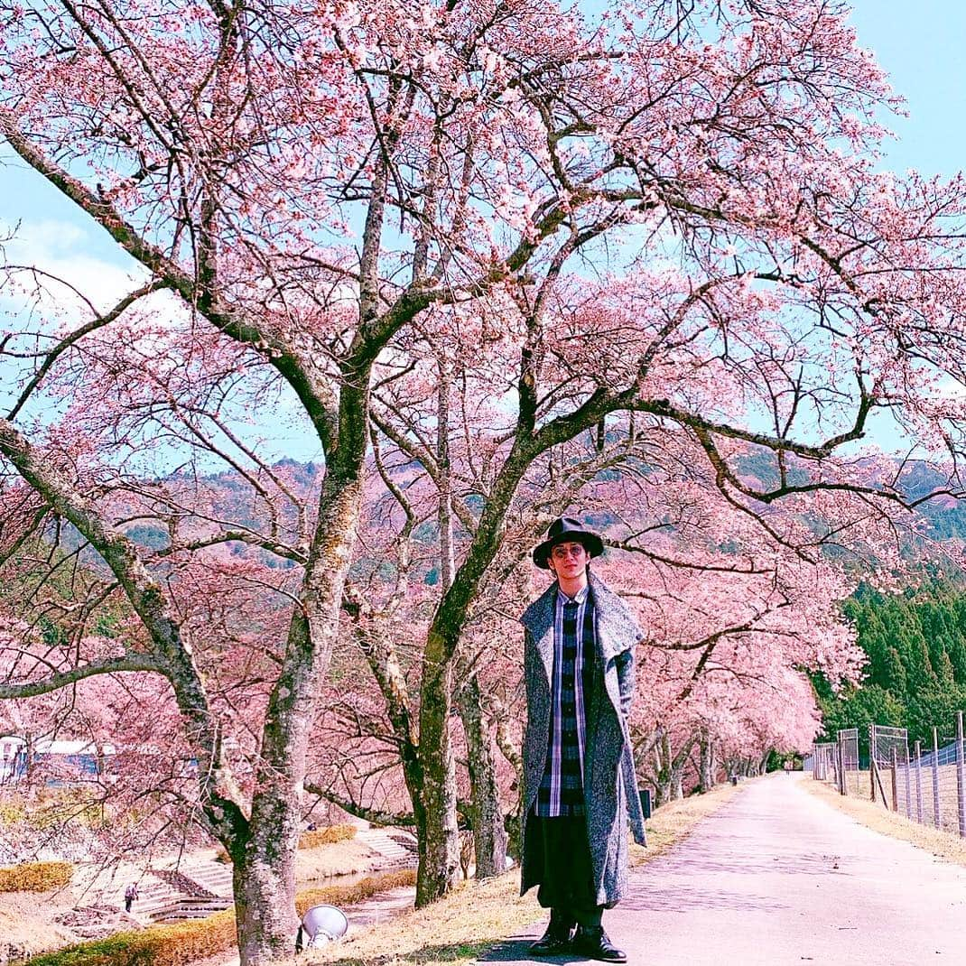 大貫勇輔さんのインスタグラム写真 - (大貫勇輔Instagram)「休演日は花見🌸 桜の儚さは人に夢を見せる。 桜のような表現者になりたい。」4月8日 20時01分 - yusukeonuki_official