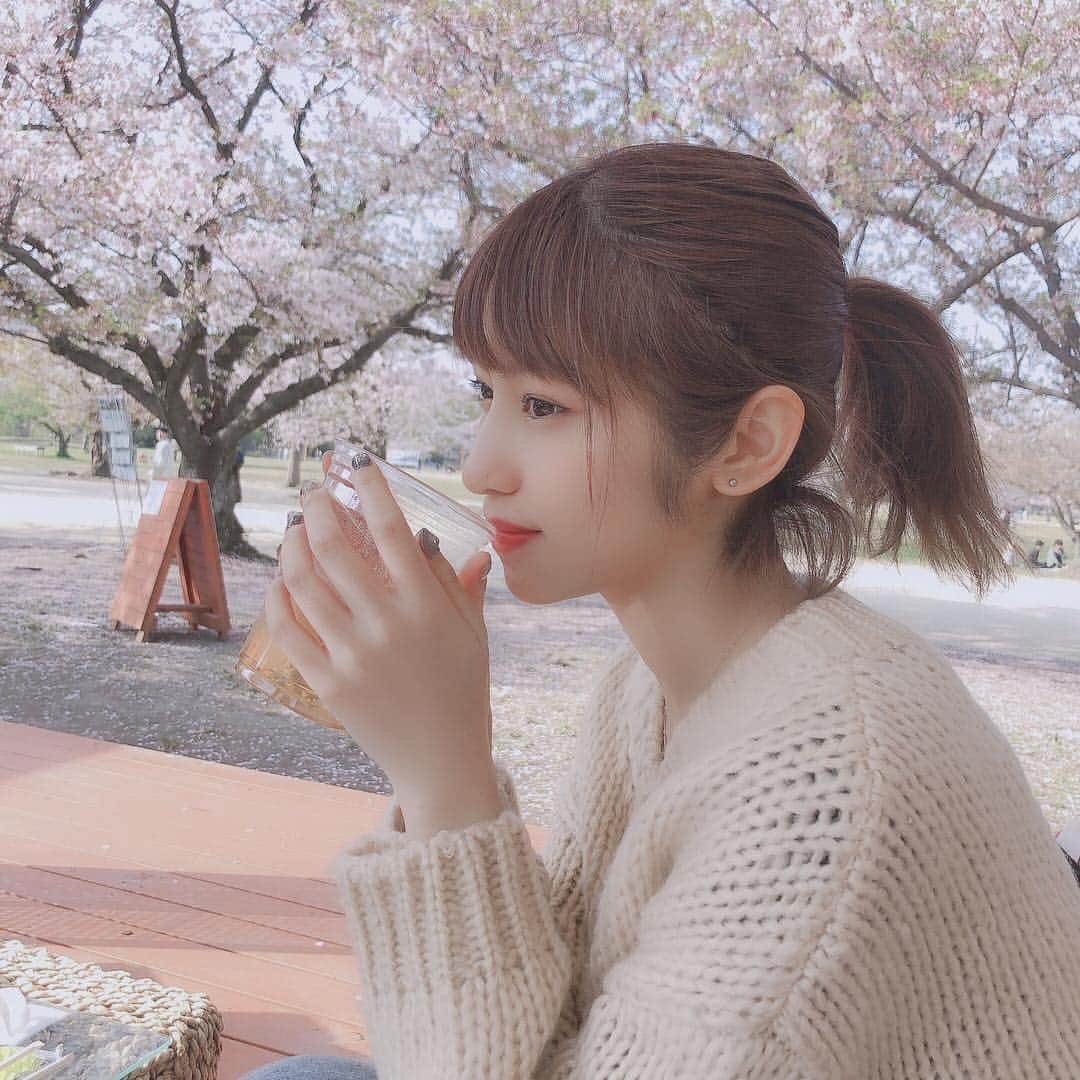 山下エミリーさんのインスタグラム写真 - (山下エミリーInstagram)「今日は2回目のお花見してきたよ🌸 花見しながらお酒を飲むっていうの してみたくて1杯だけ飲んだ！ 紗英と日向と3人で行ったんだけど 各自お弁当を作ってきて食べたの😊 遠足気分でめっちゃ楽しかった✨ 明日からまた1日頑張りましょう✌︎ (写真の後ろの毛気にしないで笑) #加工ありがとう」4月8日 20時13分 - emiri_hkt48