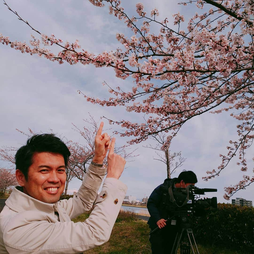 坂部友宏さんのインスタグラム写真 - (坂部友宏Instagram)「ゆうなびで一番サクラのイメージからは程遠い私です。 花見は大好きです。 満開は新潟市中央区では今週後半の見込み！  BSNニュースゆうなび (月)～(金) 夕方6時15分～  #信濃川 #やすらぎ堤 #アナウンサー #色黒 #取材中 #撮影中 #撮影中を撮影 #サクラ #桜 #cherryblossom #坂部友宏#ゆうなび」4月8日 20時22分 - t_sakabe_bsn