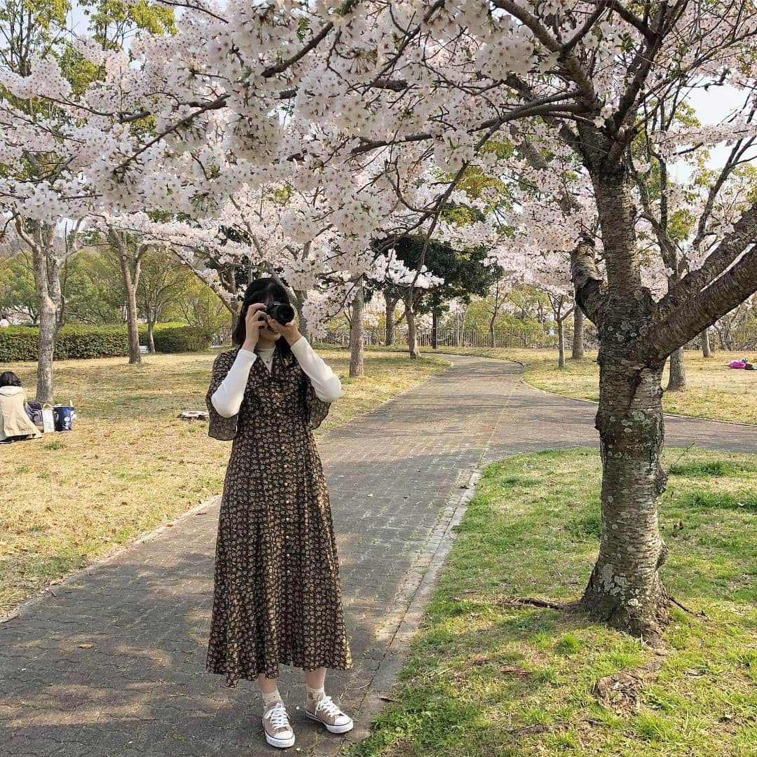 松岡花佳さんのインスタグラム写真 - (松岡花佳Instagram)「お気に入りのワンピース着てお花見した〜🌸 #ギャフトーキョー  #87コーデ」4月8日 20時31分 - hanakamatsuoka