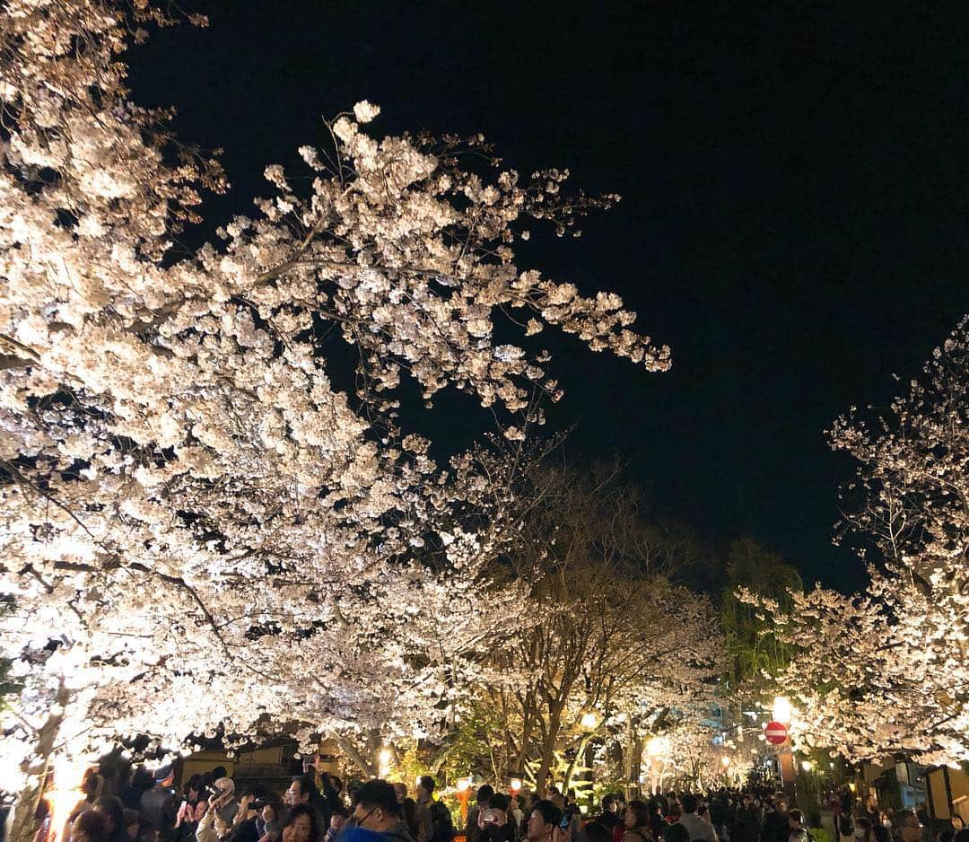 沖玲奈さんのインスタグラム写真 - (沖玲奈Instagram)「先日の京都🌸桜の名所巡り👏 どこも満開で、運良く丁度ベストなタイミングで見に行けて最高でした✨二日間があっという間🙊 #京都 #祇園白川 #哲学の道 #花見 #夜桜 飲み食いしすぎて更に膨張して帰ってきたw」4月8日 20時34分 - reinaoki2508