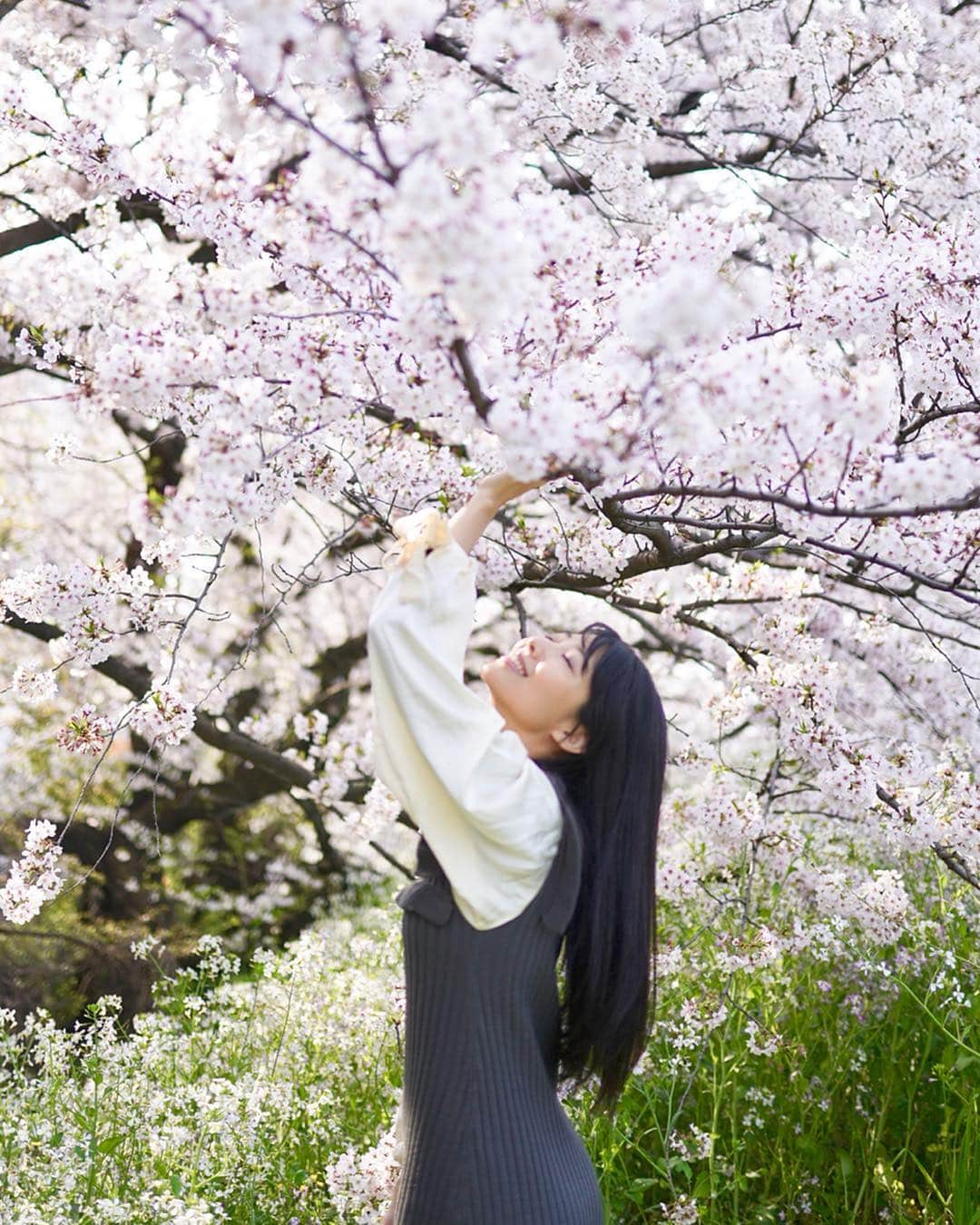 中村祐美子さんのインスタグラム写真 - (中村祐美子Instagram)「enjoyed sakura viewing🌸 always proud to be a japanese🇯🇵 . 今年はたくさんお花見しました。 日本人でよかった〜🌸🌸 お願いだから今夜の雨で散らないで😢 . お天気にもめぐまれ、あったかい日も多かったけど、夜寒くなるのがこわくてコートは必須だった・・😇笑 バルーンな袖のかわいいワンピとパステルカラーの素敵なコートは、 @u_dresser のもの。 肌寒い春にヘビロテ決定💡 . #桜 #お花見 #🌸 #令和 #令和元年 #japan #日本 #tokyo #東京 #fashion #fashionist #fashionaddict #ファッション #ファッションコーデ #ファッション好きな人と繋がりたい #コーディネート #今日のコーデ #植物のある生活 #緑のある暮らし #plantstyle #plantlife #plantsarelife #写真が好きな人と繋がりたい #写真好きと繋がりたい #写真好きな人と繋がりたい #photooftheday #photostagram #photooftheweek」4月8日 20時38分 - yumikonakamura.jp