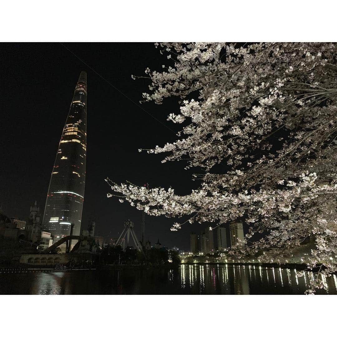 ペク・ミニョンさんのインスタグラム写真 - (ペク・ミニョンInstagram)「. 桜が咲く🌸 Before Our Spring🎼 HBD! 🌟」4月8日 20時48分 - minhyun_112