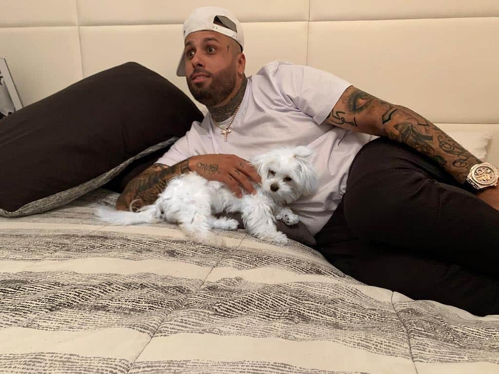 NICKY JAMさんのインスタグラム写真 - (NICKY JAMInstagram)「🐶 siempre papi nunca inpapi」4月8日 20時50分 - nickyjam