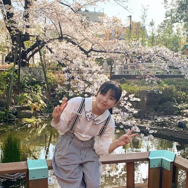 森七菜さんのインスタグラム写真 - (森七菜Instagram)「🌸🌸🌸 #桜 #猫シャツ」4月8日 20時50分 - morinana_official