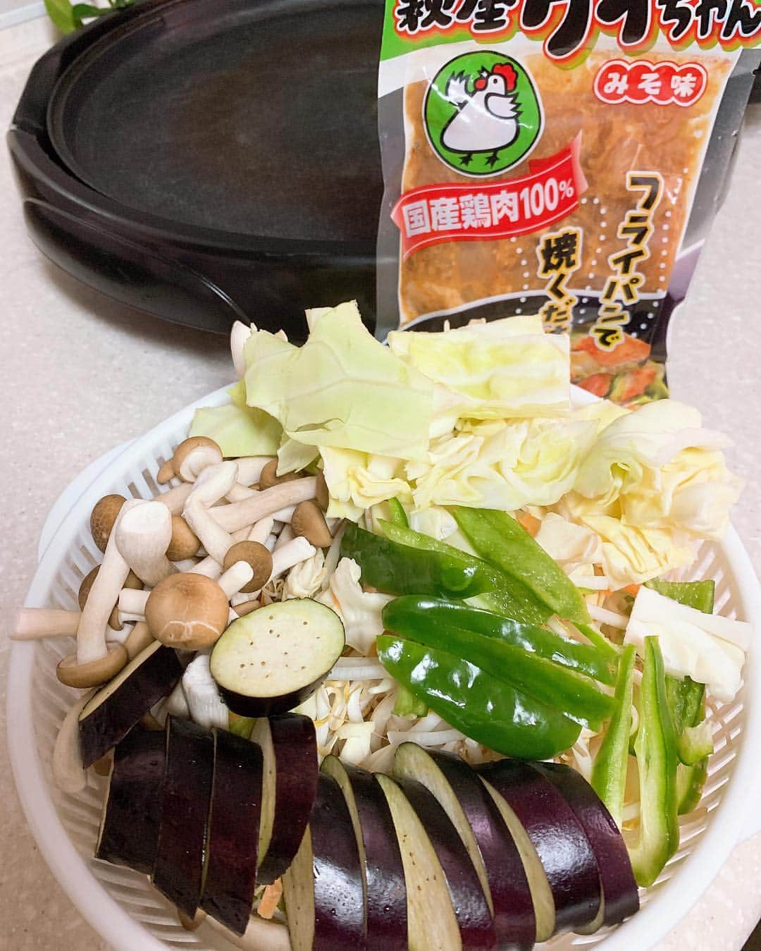 水谷雅子さんのインスタグラム写真 - (水谷雅子Instagram)「#晩御飯#おうちごはん #dinner  #萩屋のケイちゃん#鶏肉#味噌味 #ナカモのつけてみそかけてみそ  #トッピング#とろけるチーズ」4月8日 20時53分 - mizutanimasako