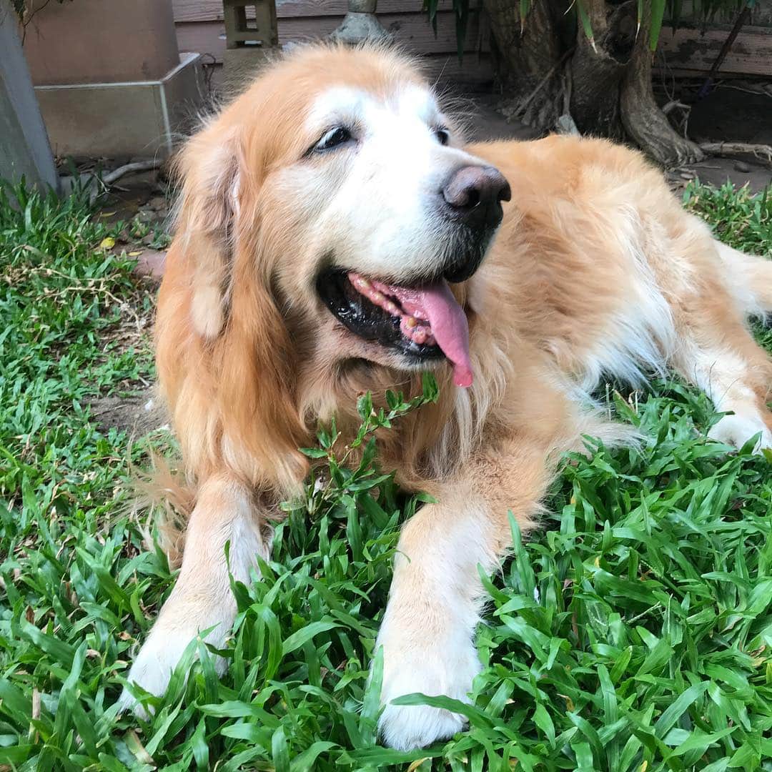 Hoykong&Plamuekのインスタグラム：「Chilling at home #hoykong」