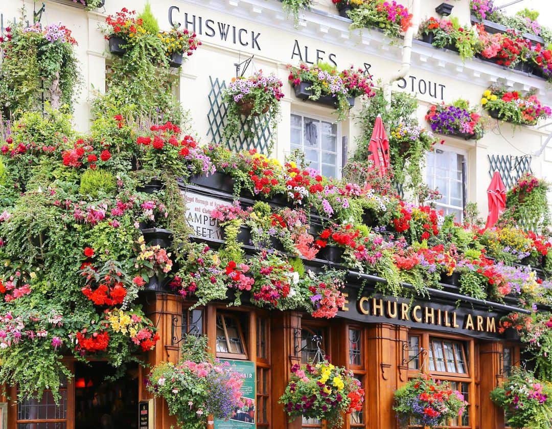 田島知華さんのインスタグラム写真 - (田島知華Instagram)「【UK🇬🇧London】 ロンドンのパブ「The Churchill Arms」は 新刊の表紙にも選んだお気に入りの場所。 建物を包むように咲き誇るお花は圧巻です！ 見ているだけで幸せな気持ちに。 ロンドンを再訪するときはまた行きたい場所のひとつです。 Copyright © TAJIHARU  Canon EOS 6D MarkⅡ EF24-105mm F4L IS II USM _ #たじはるトリップ #TAJIHARU_uk #イギリス #ロンドン #ヨーロッパ #女子旅 #旅ガール #カメラ女子 #花のある暮らし #田島知華 #たじはる #トラベルフォトライター #unitedkingdom #visitbritain #london #prettylittlelondon #prettycitylondon #kensington #fullers #churchillarms #thechurchillarms #londonpub #britishpub #igerseurope #igersengland #igerslondon #beautifuldestinations #beautifulcuisines #topeuropephoto  #wonderful_places」4月8日 20時57分 - haruka_tajima
