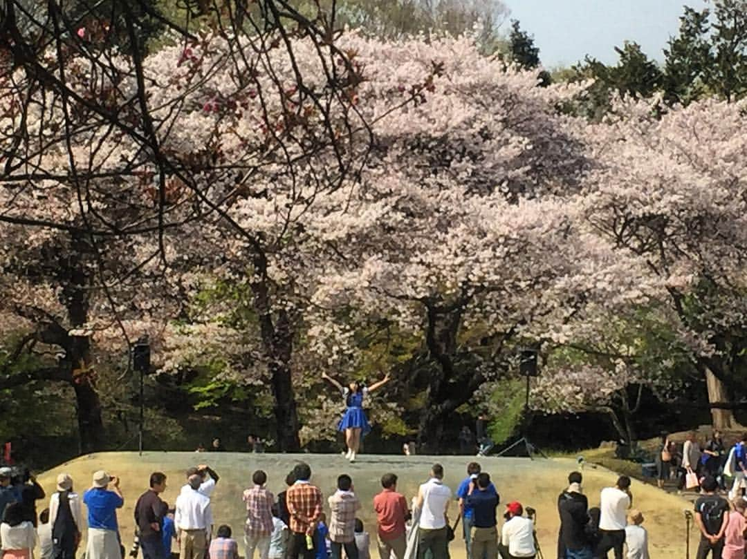 井出ちよのさんのインスタグラム写真 - (井出ちよのInstagram)「やっほーい、ちよのだよ🌈  明日は火曜エクステンデッドですよ 6時半からフジビジョンにてYouTube生配信！来られる人はみにきてねー 昨日は晴れてて暖かったのに今日は寒かったねぇ 桜も雨で散っちゃうねぇ、儚いねぇ . . . ★スケジュール★ ------------------------------ 🌈4/9(火)【Extended】 『火曜エクステンデッド#9』 @富士宮 フジビジョン 入場無料 18:30スタート ★生配信もあるよ ------------------------------ 🌈4/13(土)【#3Neo】 『RECORD STORE DAY 2019記念3776インストアライブ』 @HMV record shop 新宿アルタ 入場無料 ※インストアイベントです。 特典内容、対象商品についての詳細はイベントページまたはなりすレコードのTwitterなどをご覧下さい。 ------------------------------ 🌈4/21(日) 【#3Neo】 『横須賀アイドルカーニバル 2019 SPRING』 @横須賀ヤンガーザンイエスタディ 前売／3500円(+1d)当日／4000円(+1d)  チケット予約はTIGETまで ------------------------------ 🌈4/23(火)【Extended】 『火曜エクステンデッド#10』 @富士宮 フジビジョン 入場無料 18:30スタート ★生配信もあるよ ------------------------------ 🌈5/5(日) 『Beat Happening！渋谷IDLE BEST PANIC！第２部』 @渋谷LUSH 前売／2900円(+1d)当日／3400円(+1d) ※高校生以下1000円引き スケジュールページにて予約受付中 ------------------------------ ㊗️8/15(木) 【次回ワンマンライブ決定】 @渋谷www 詳細発表&チケット発売は4/11(木)！ 🙌みんな来るのだ🙌 ------------------------------ #3776 #みななろ #井出ちよの #富士山 #富士宮 #富士市 #静岡県 #宮のにぎわい広場 #元気広場 #富士山ご当地アイドル」4月8日 21時04分 - 3776chiyono