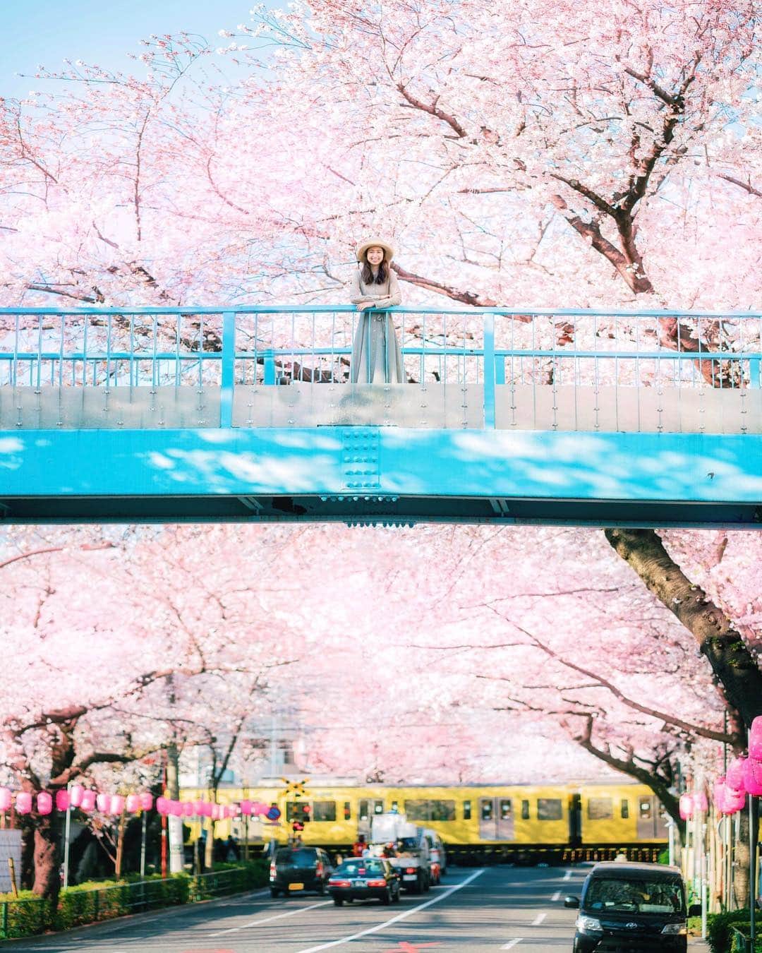 mikicoco00のインスタグラム：「* * 桜満開～🚃🌸🍡 * * * * * * #桜#春#綺麗#感動#青空#電車 #spring#cherryblossom#pink#tokyo#japan#写真好きな人と繋がりたい#お花見#カメラ好き#ポートレート#ワンピース#サクラ」