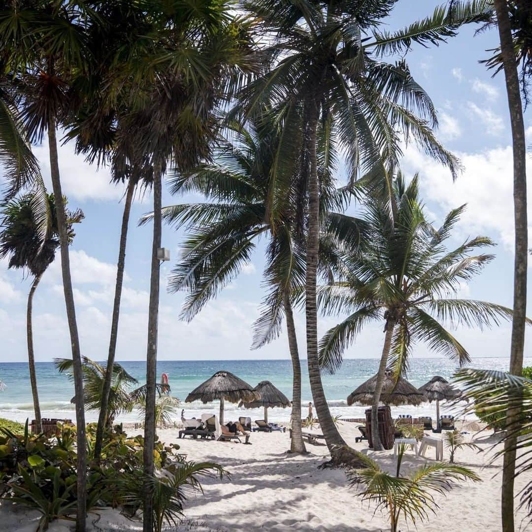 ルフトハンザさんのインスタグラム写真 - (ルフトハンザInstagram)「In Tulum, time almost seems to stand still. The environment is made for it – white beach, tall palm trees and clear water. Perfect place for a timeout. #Lufthansa #CityOfTheMonth #Cancún」4月8日 21時00分 - lufthansa