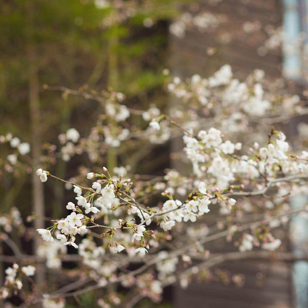 FORTUNE GARDEN KYOTOのグルメインスタ