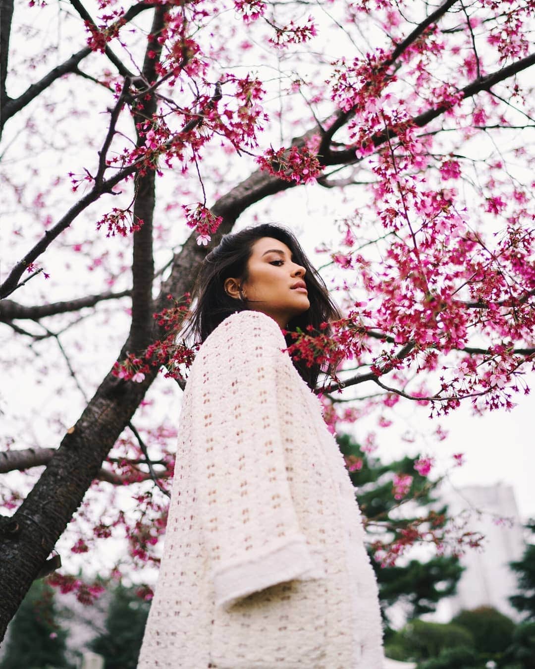 福田洋昭のインスタグラム：「@shaymitchell 🌸💯 #Blossomed」
