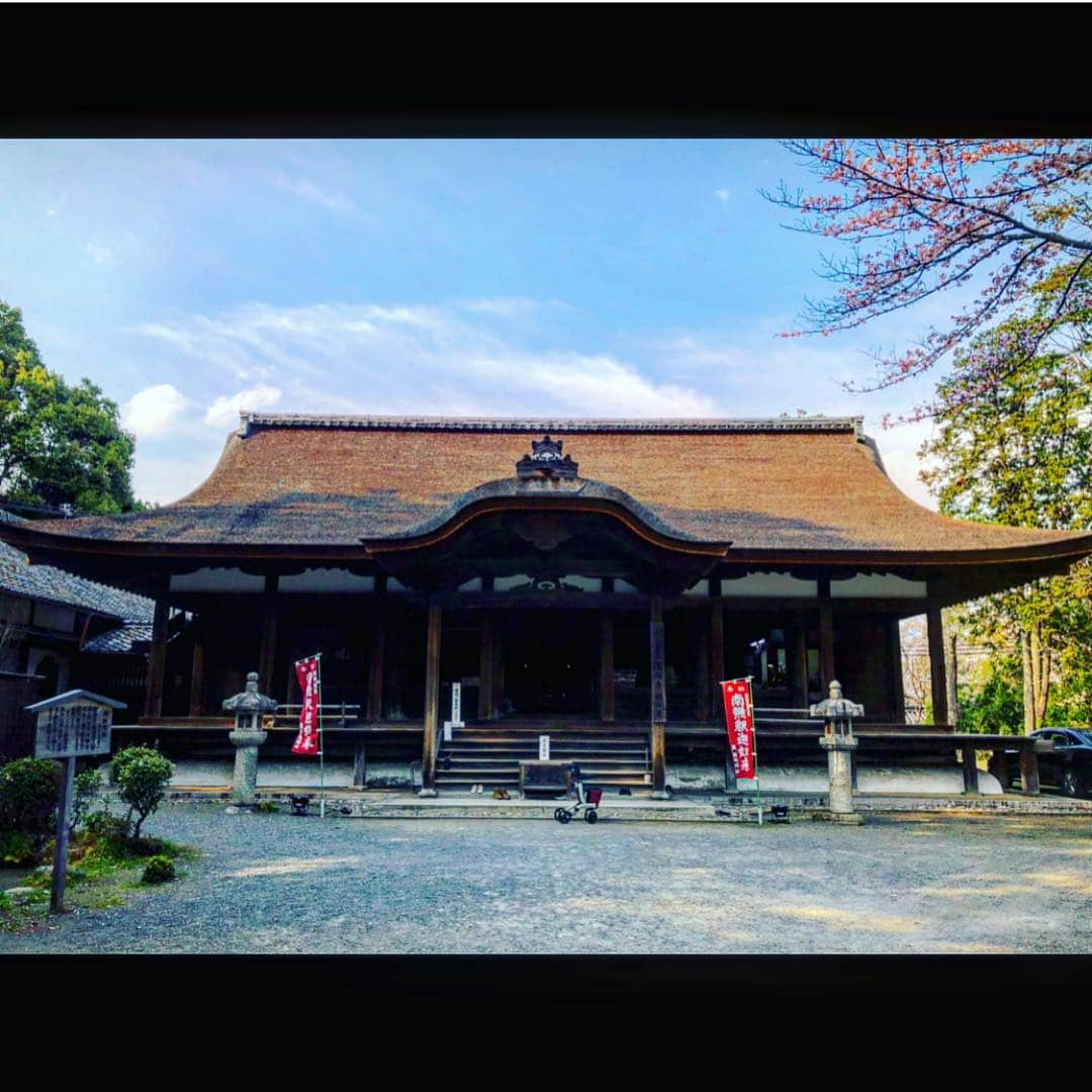 さきえさんのインスタグラム写真 - (さきえInstagram)「園城寺三井寺からの琵琶湖疏水。 桜も相まって殊更良し。 . . #三井寺 #園城寺 #琵琶湖疏水 #桜 #cherryblossom #観音堂 #秘仏 #三井寺観音堂は33年に一度の開帳#素晴らしかった。#総本山園城寺 #国宝 #重要文化財 #寺社仏閣 #桜の名所 #琵琶湖 #滋賀県 #photooftheday #photography #japan」4月8日 21時17分 - sakie110